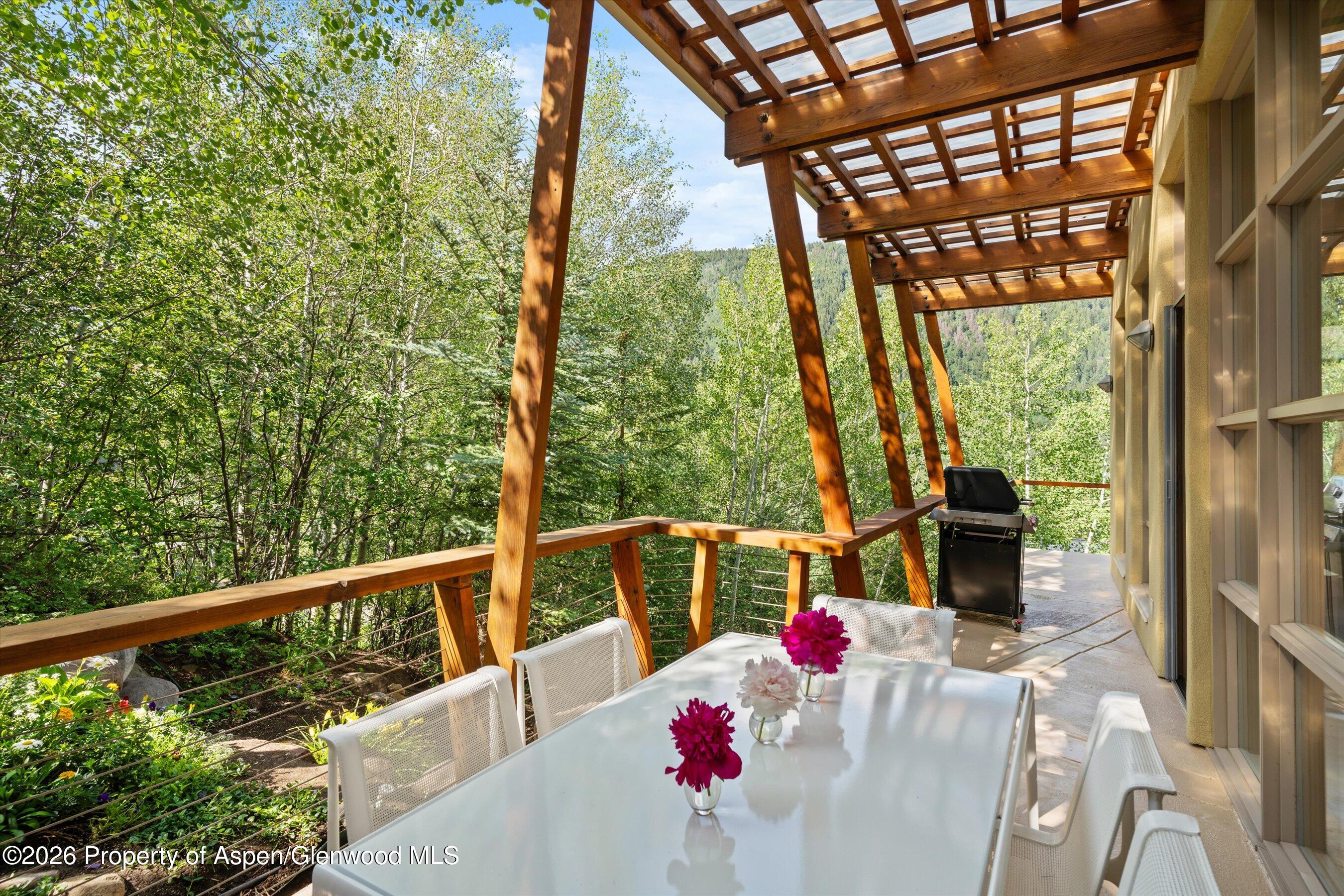 250 Mountain Laurel Drive Aspen CO 81611