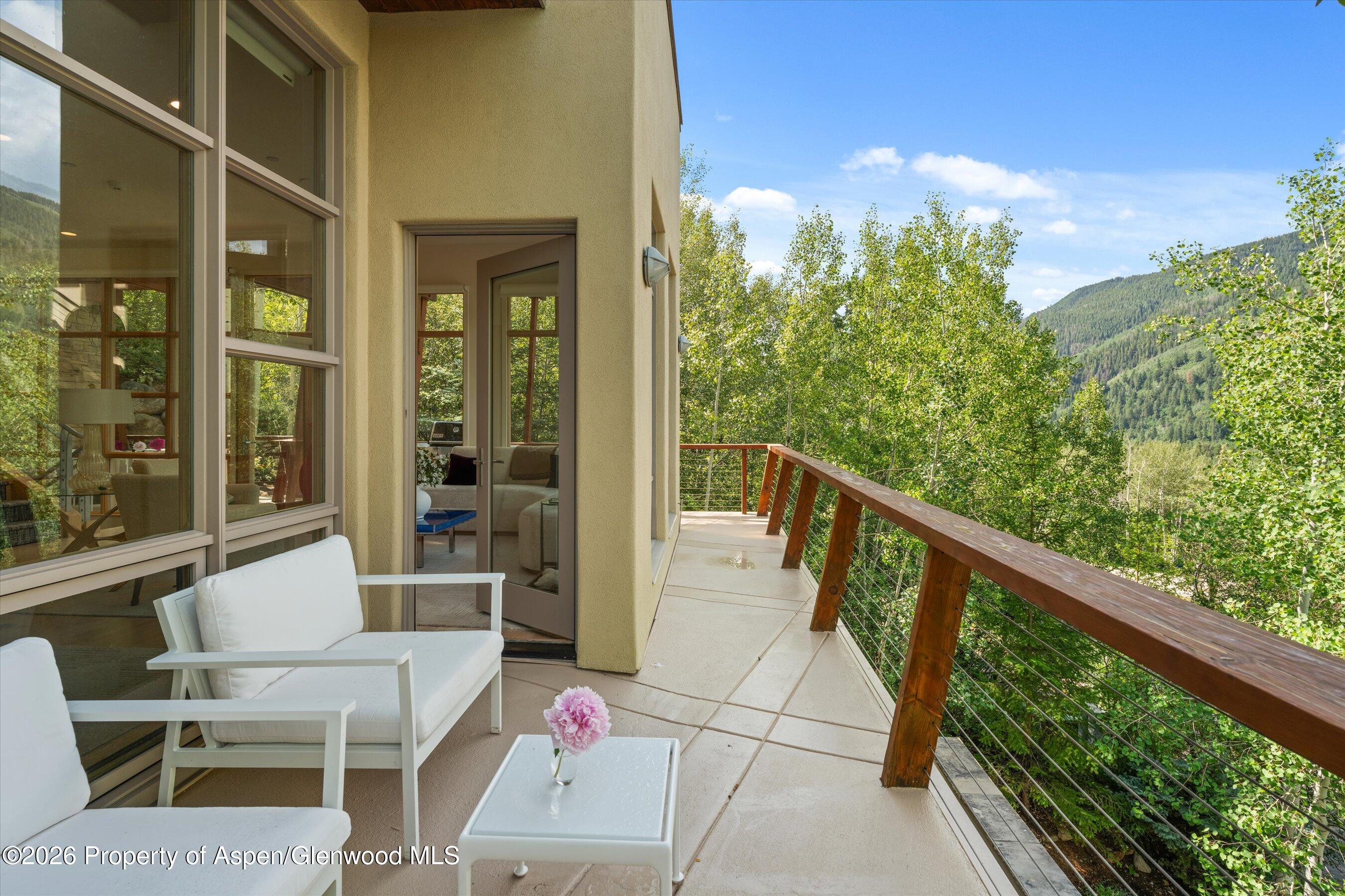 250 Mountain Laurel Drive Aspen CO 81611