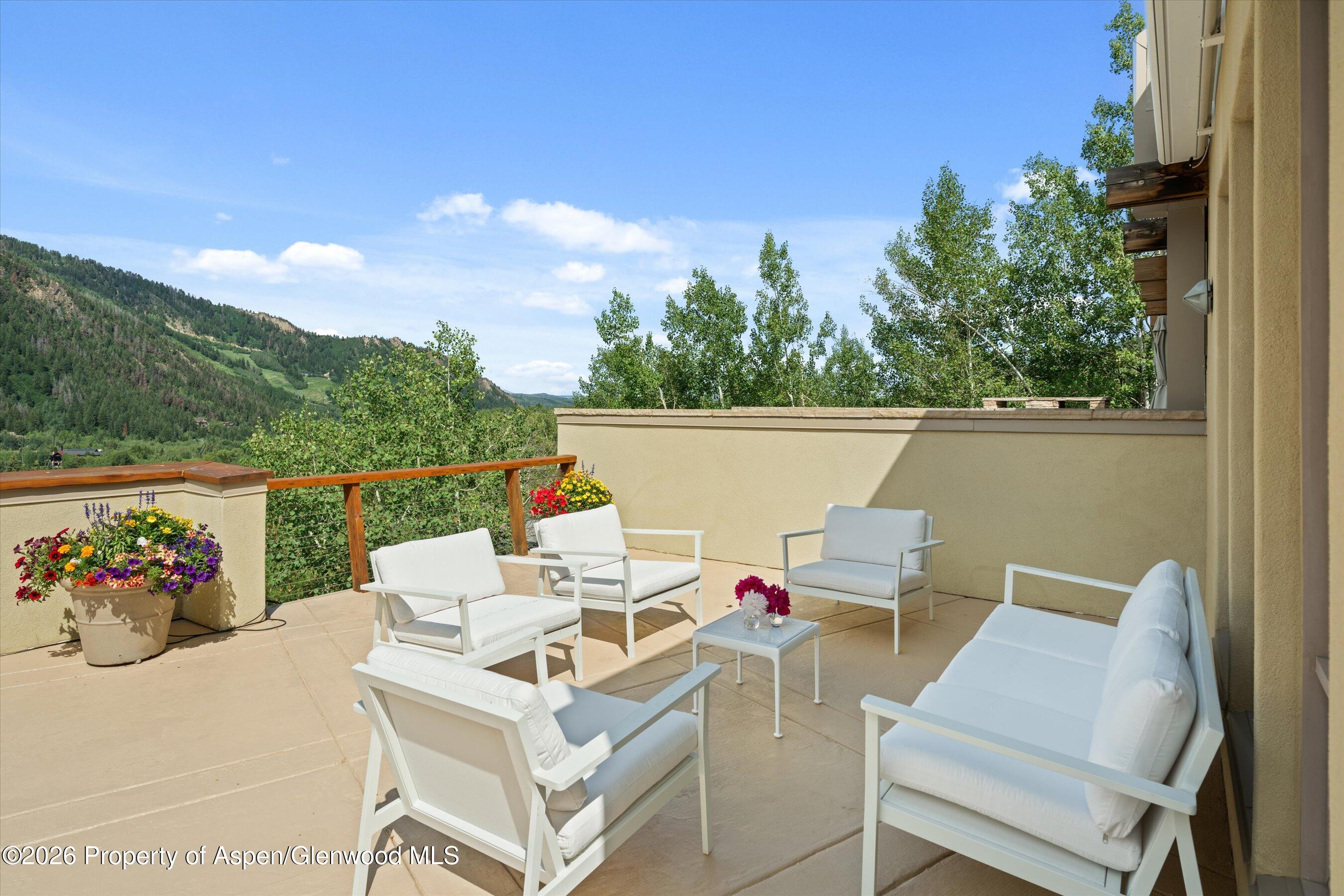 250 Mountain Laurel Drive Aspen CO 81611