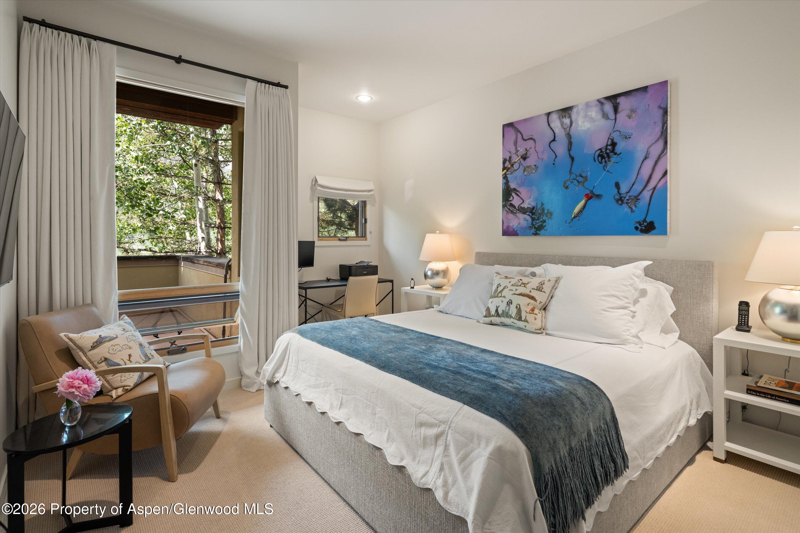 250 Mountain Laurel Drive Aspen CO 81611