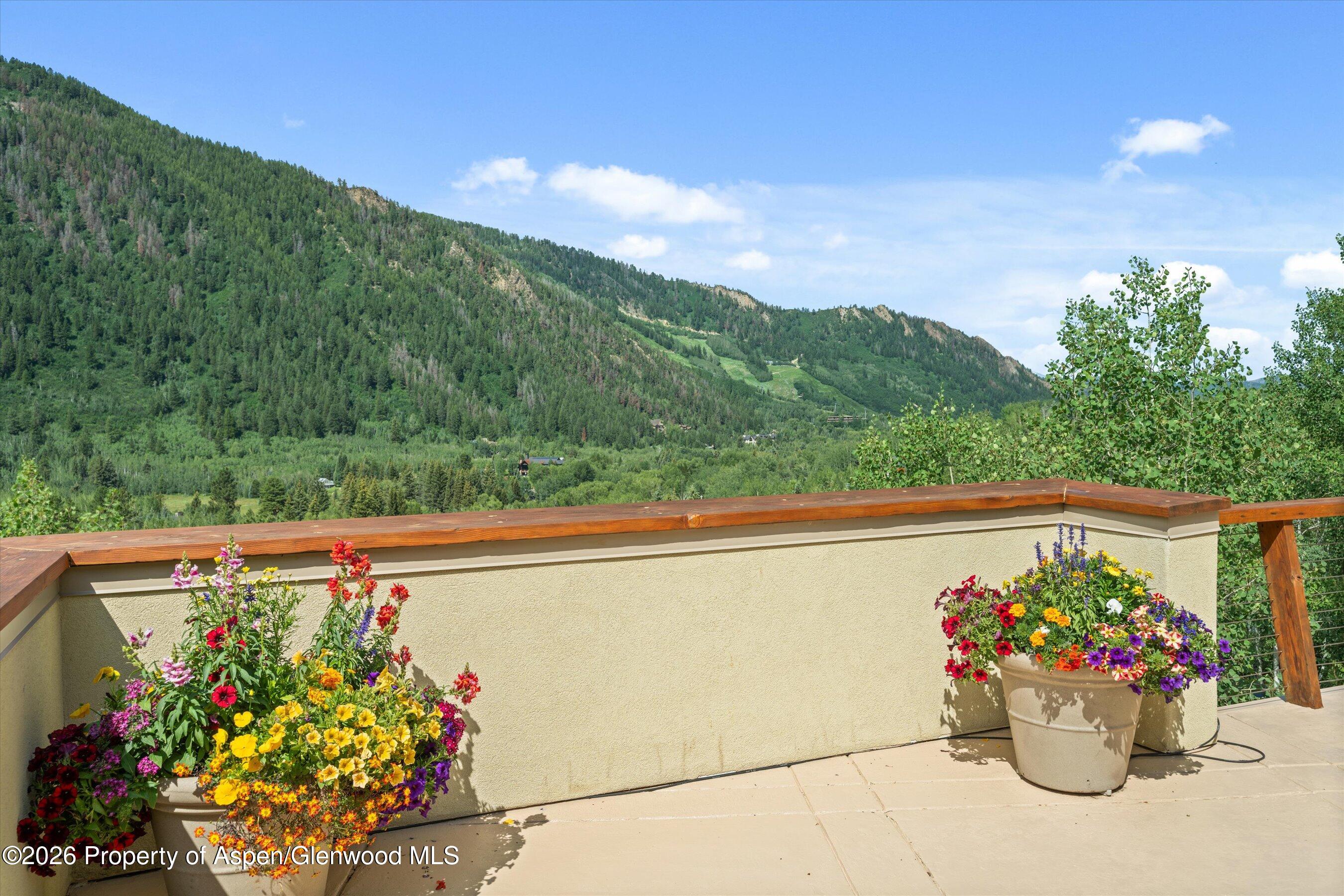 250 Mountain Laurel Drive Aspen CO 81611