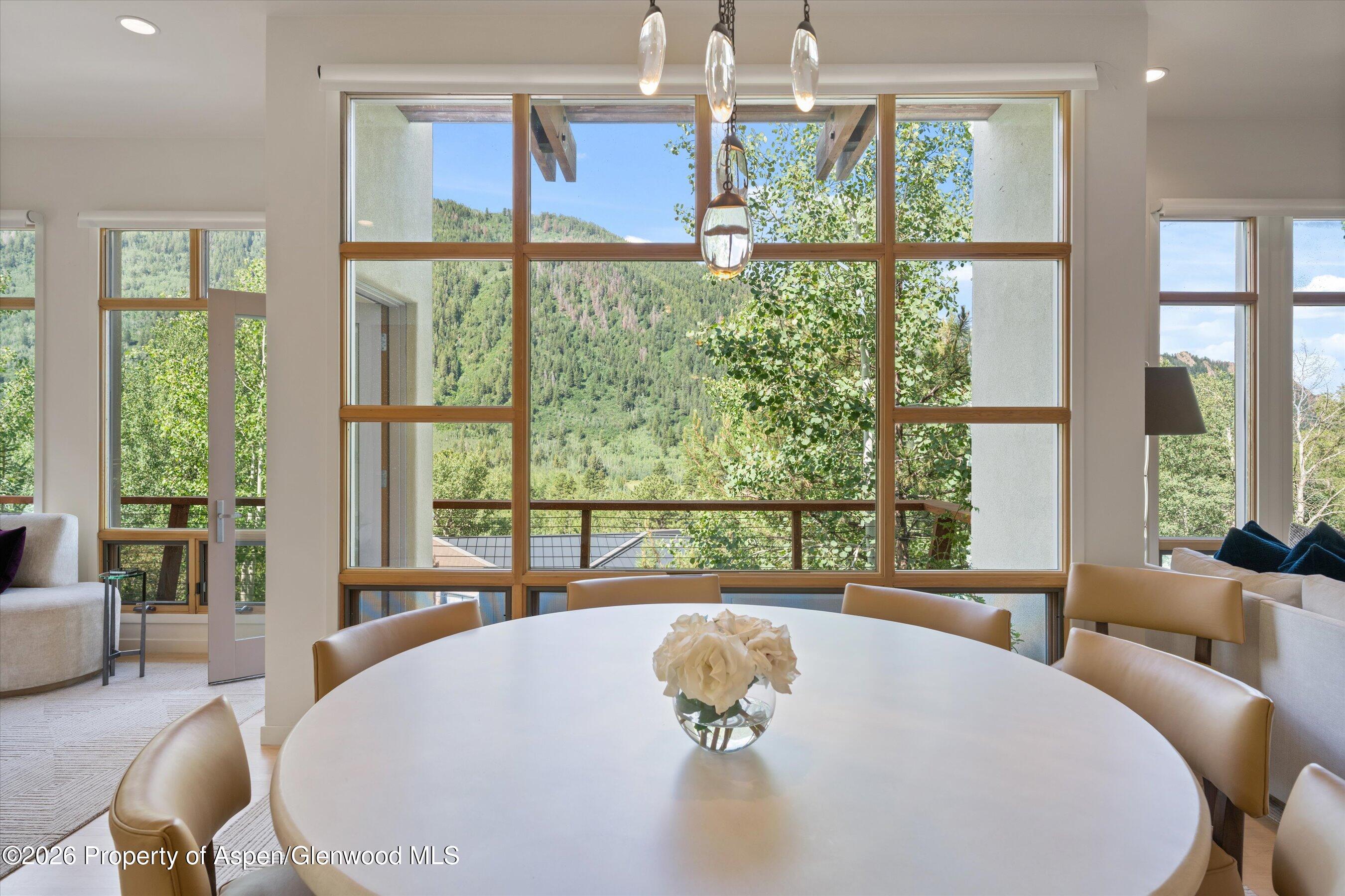 250 Mountain Laurel Drive Aspen CO 81611