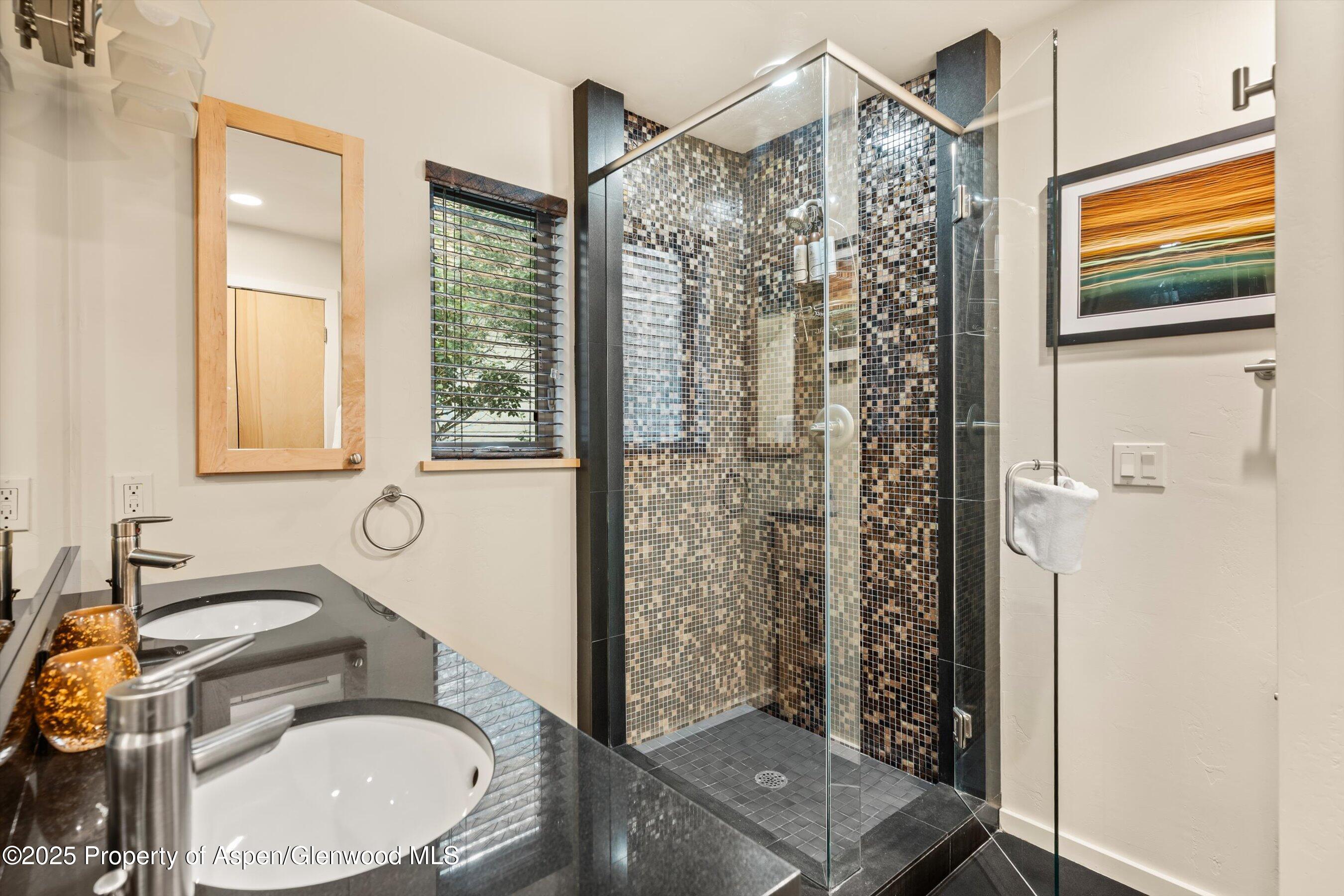 322 Park Avenue Aspen CO 81611