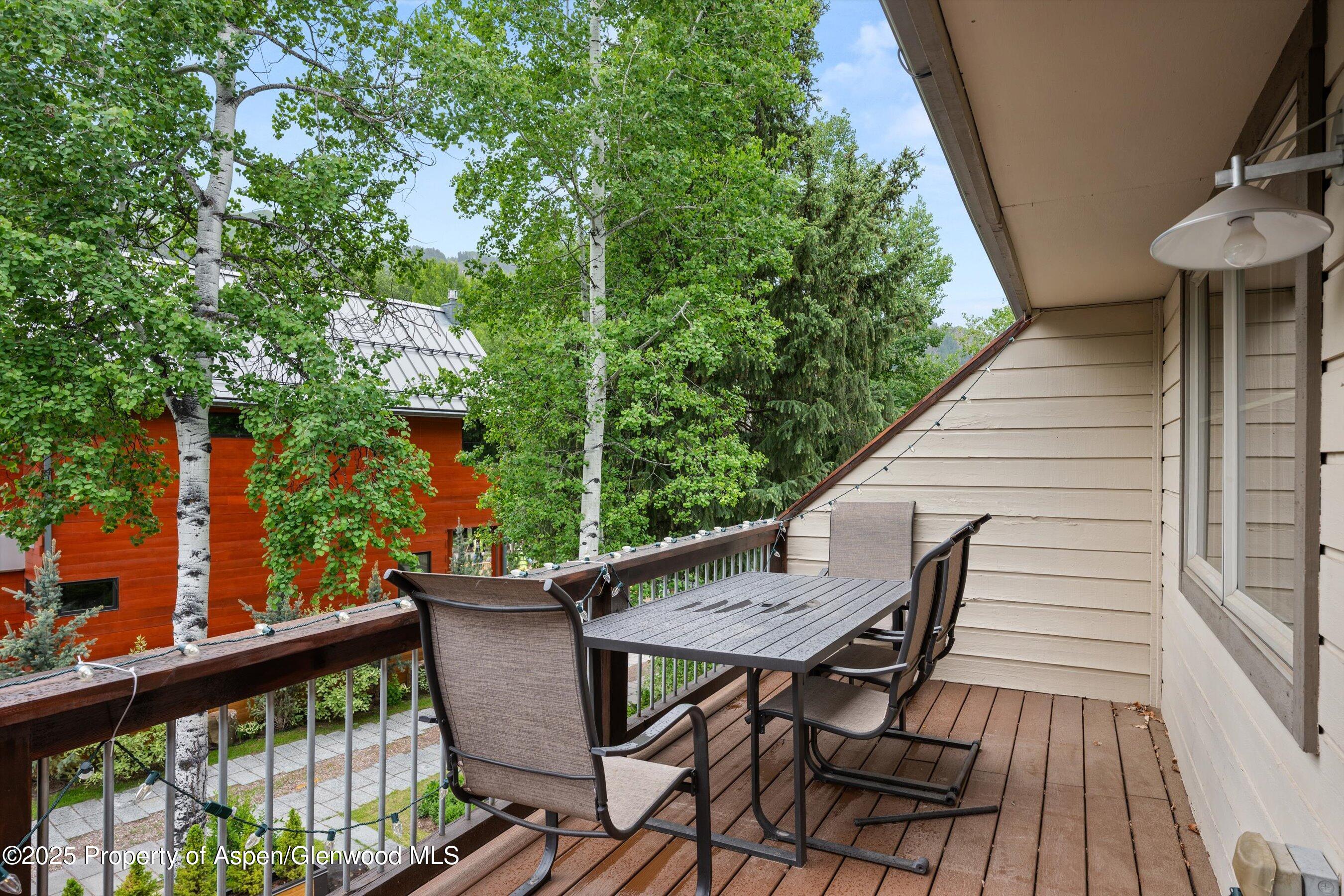 322 Park Avenue Aspen CO 81611