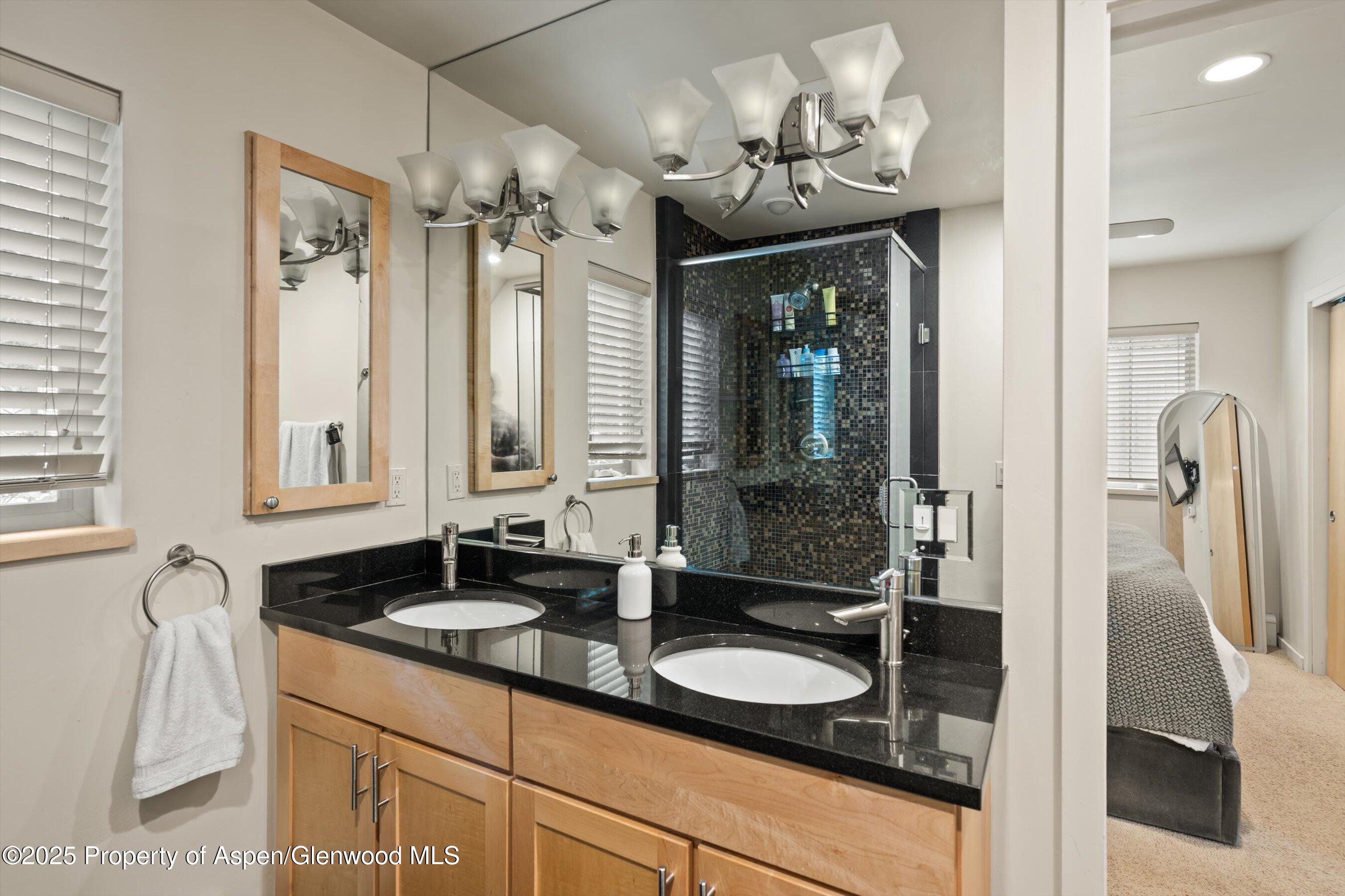 322 Park Avenue Aspen CO 81611