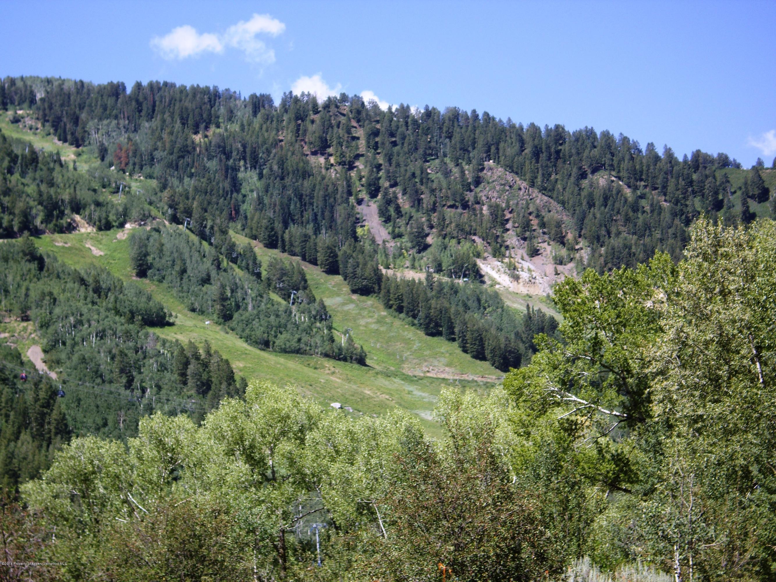 1102 +1106 E Cooper Avenue Aspen CO 81611