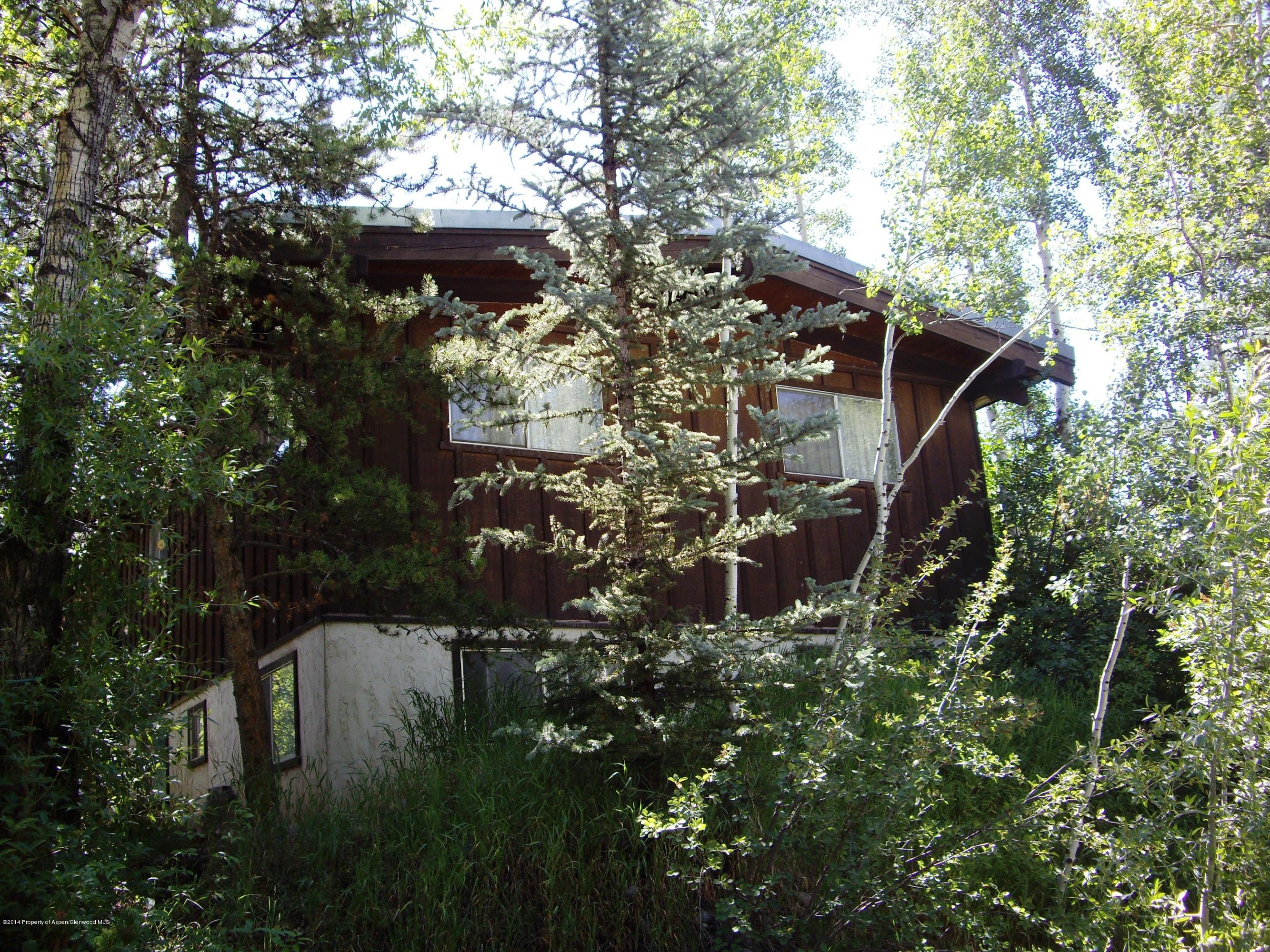 1102 +1106 E Cooper Avenue Aspen CO 81611
