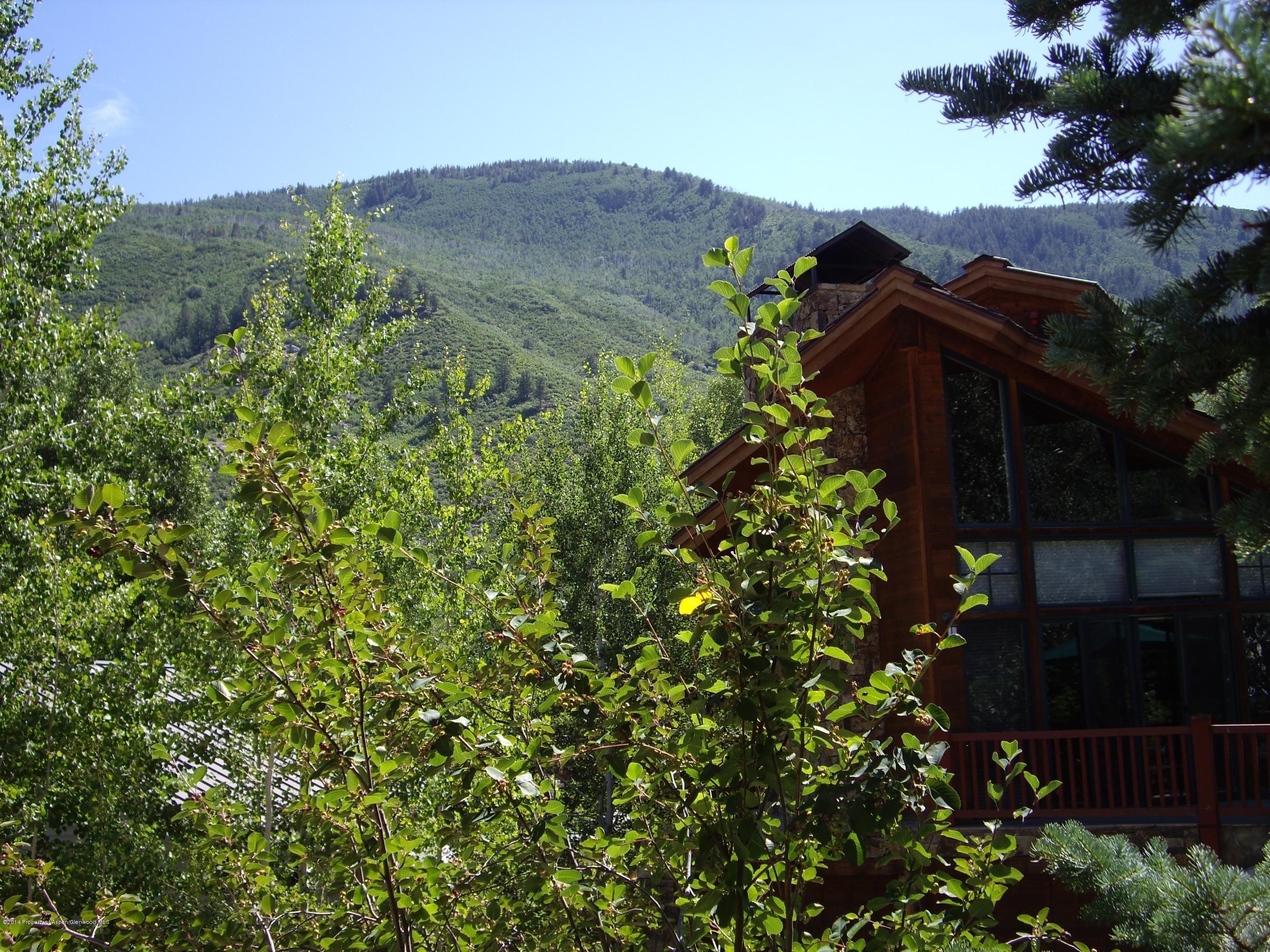 1102 +1106 E Cooper Avenue Aspen CO 81611
