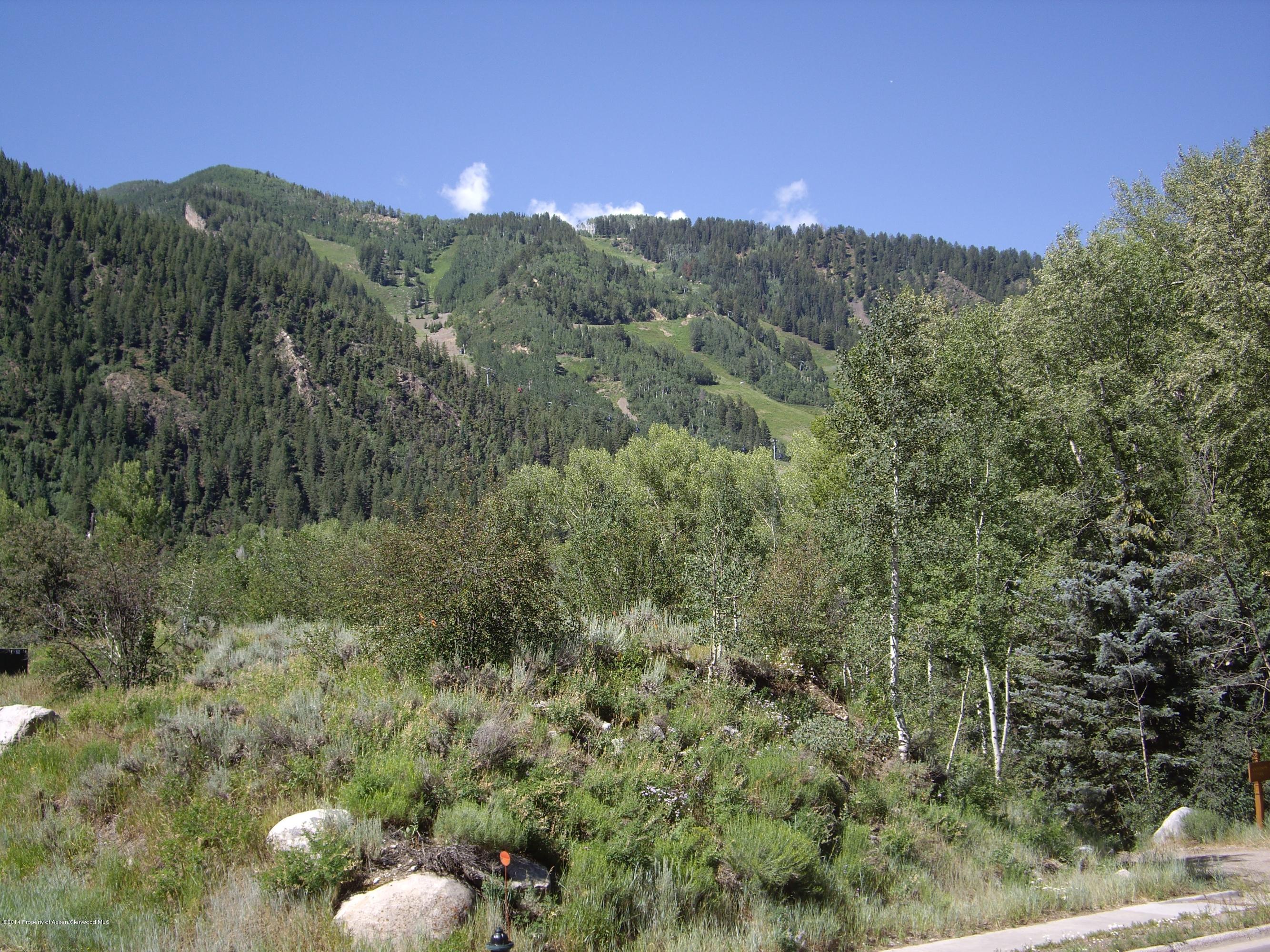 1102 +1106 E Cooper Avenue Aspen CO 81611