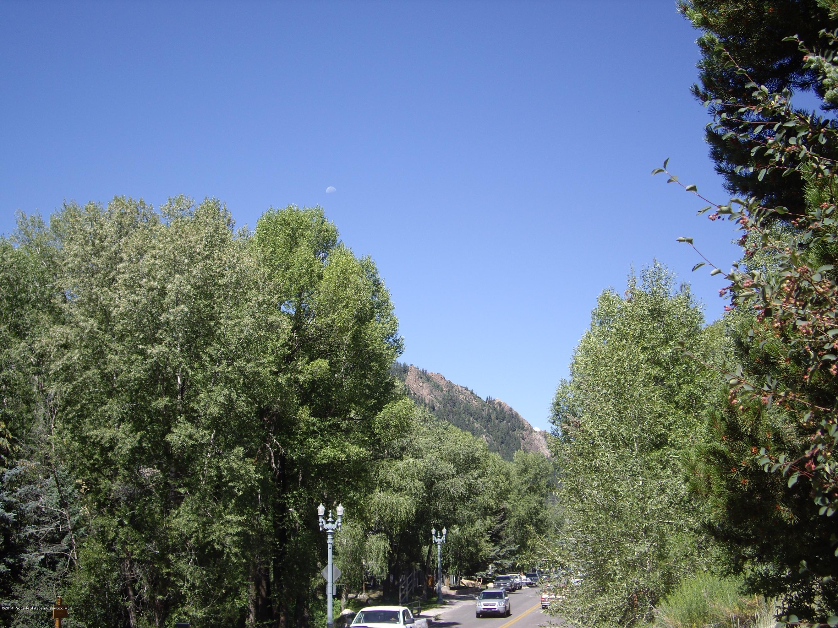 1102 +1106 E Cooper Avenue Aspen CO 81611