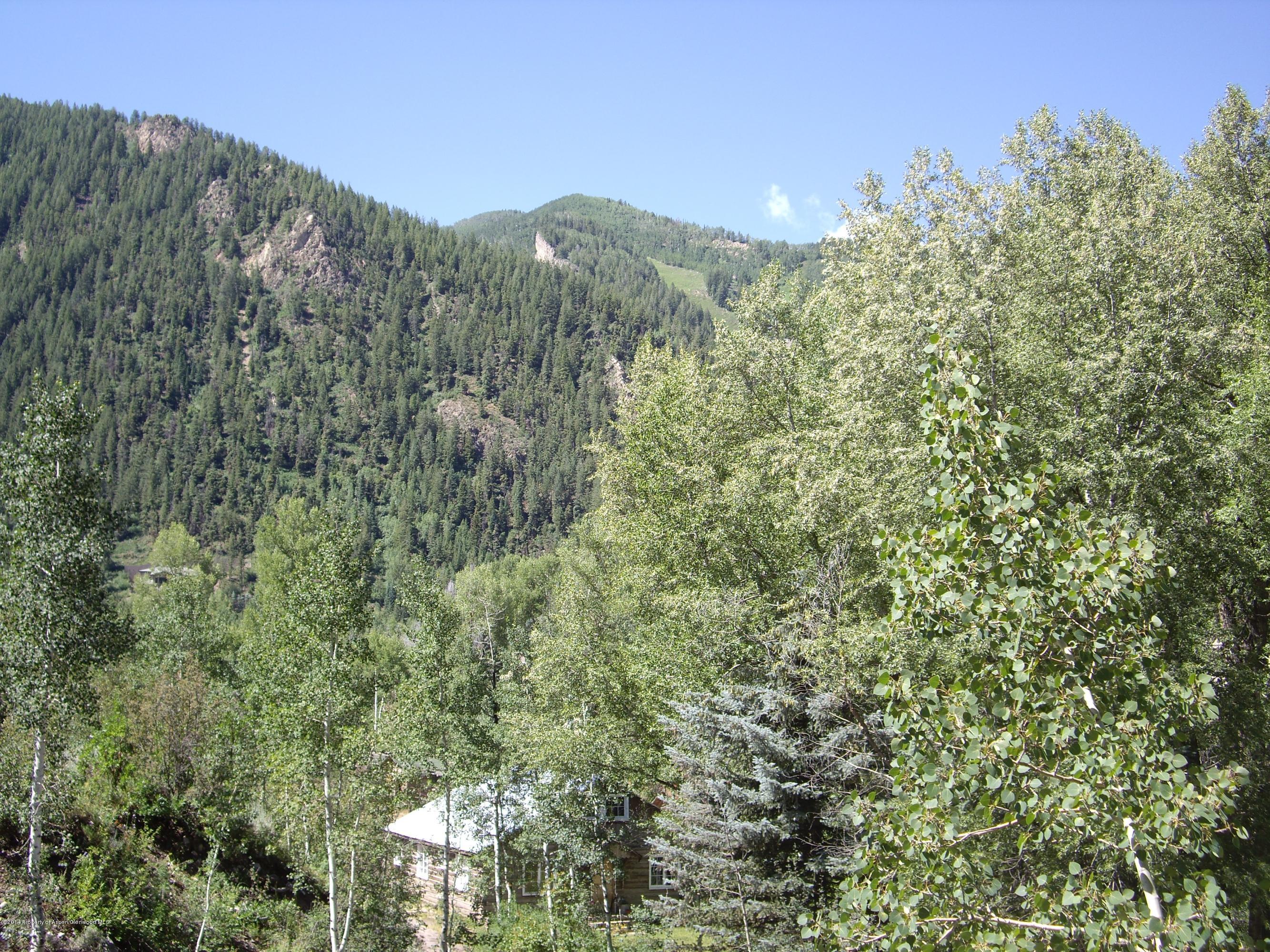 1102 +1106 E Cooper Avenue Aspen CO 81611