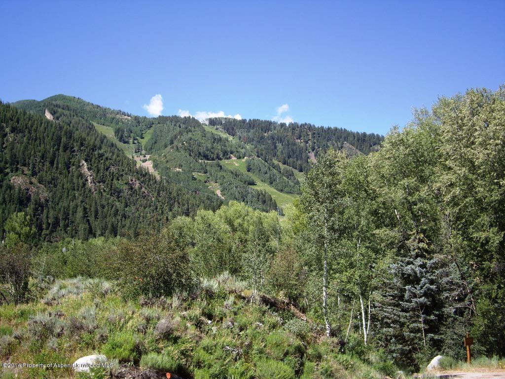 1102 +1106 E Cooper Avenue Aspen CO 81611
