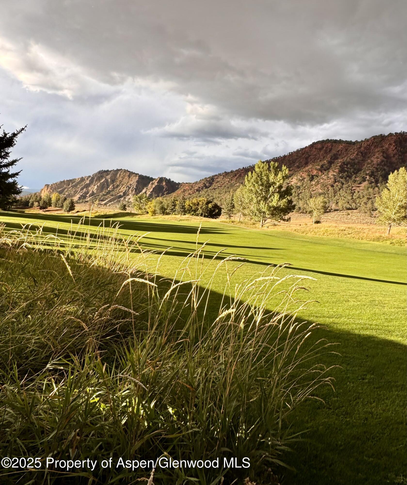 65 Upland Lane Carbondale CO 81623