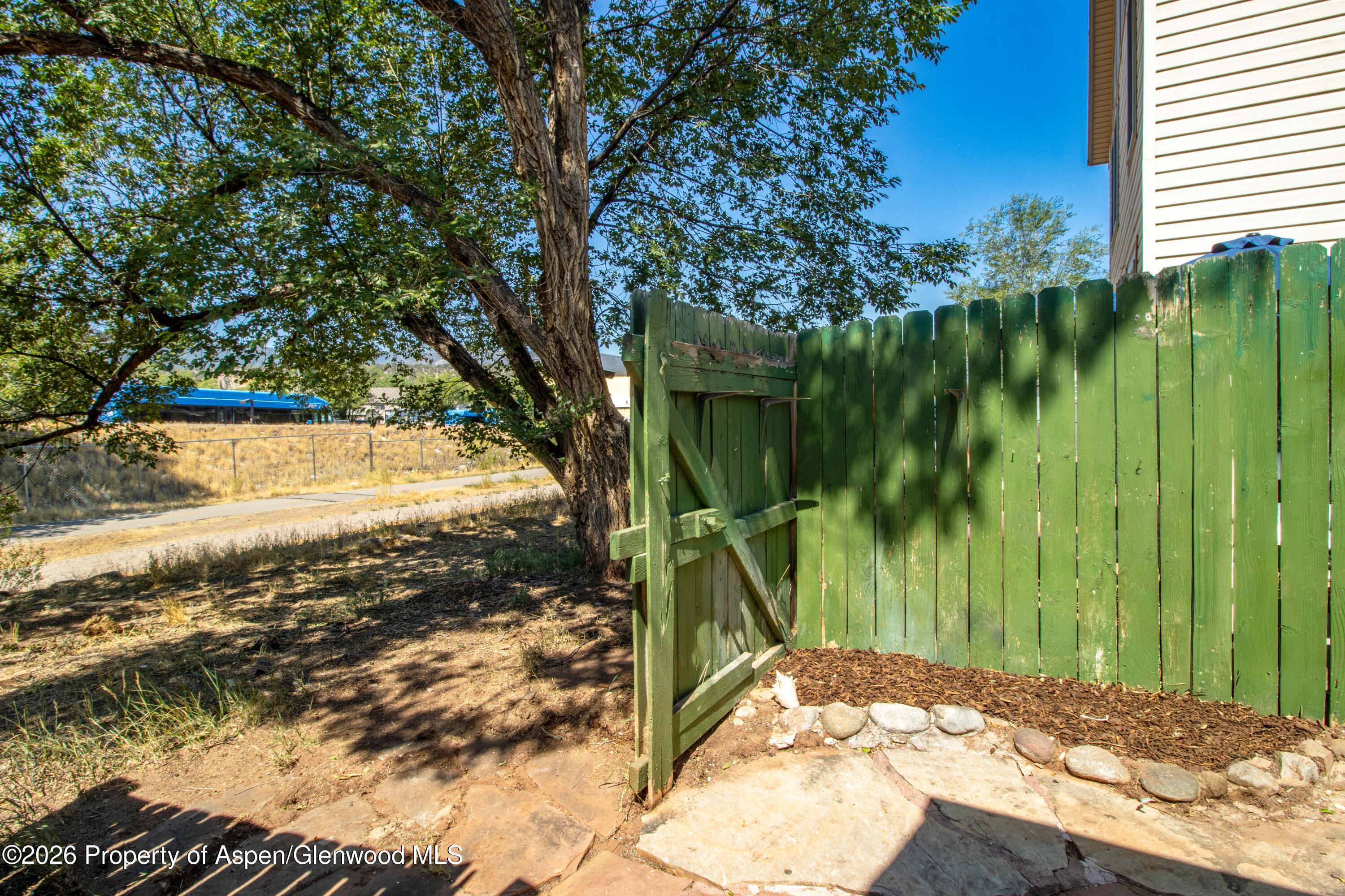 1007 Crown Drive Carbondale CO 81623