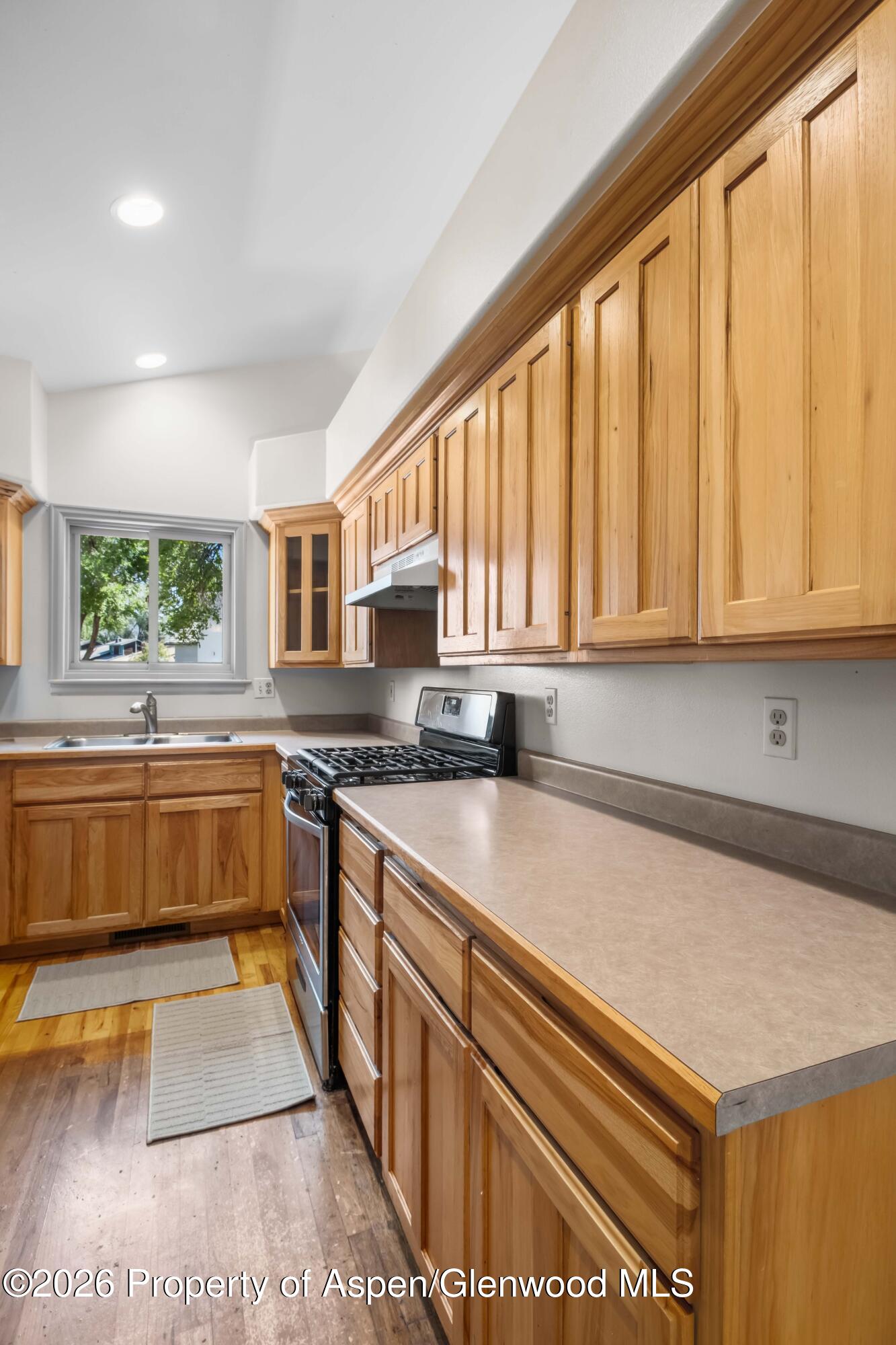 1007 Crown Drive Carbondale CO 81623