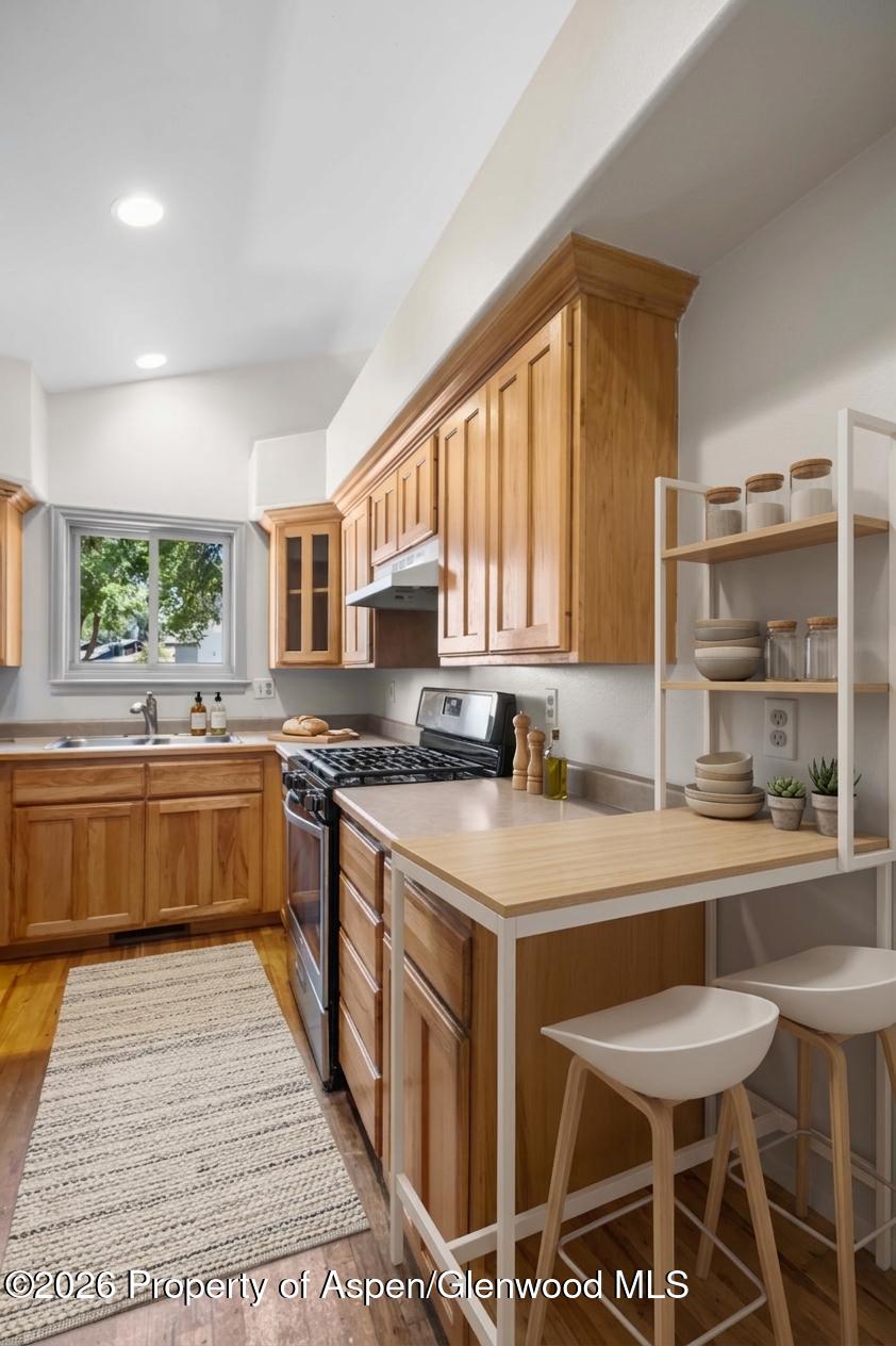 1007 Crown Drive Carbondale CO 81623