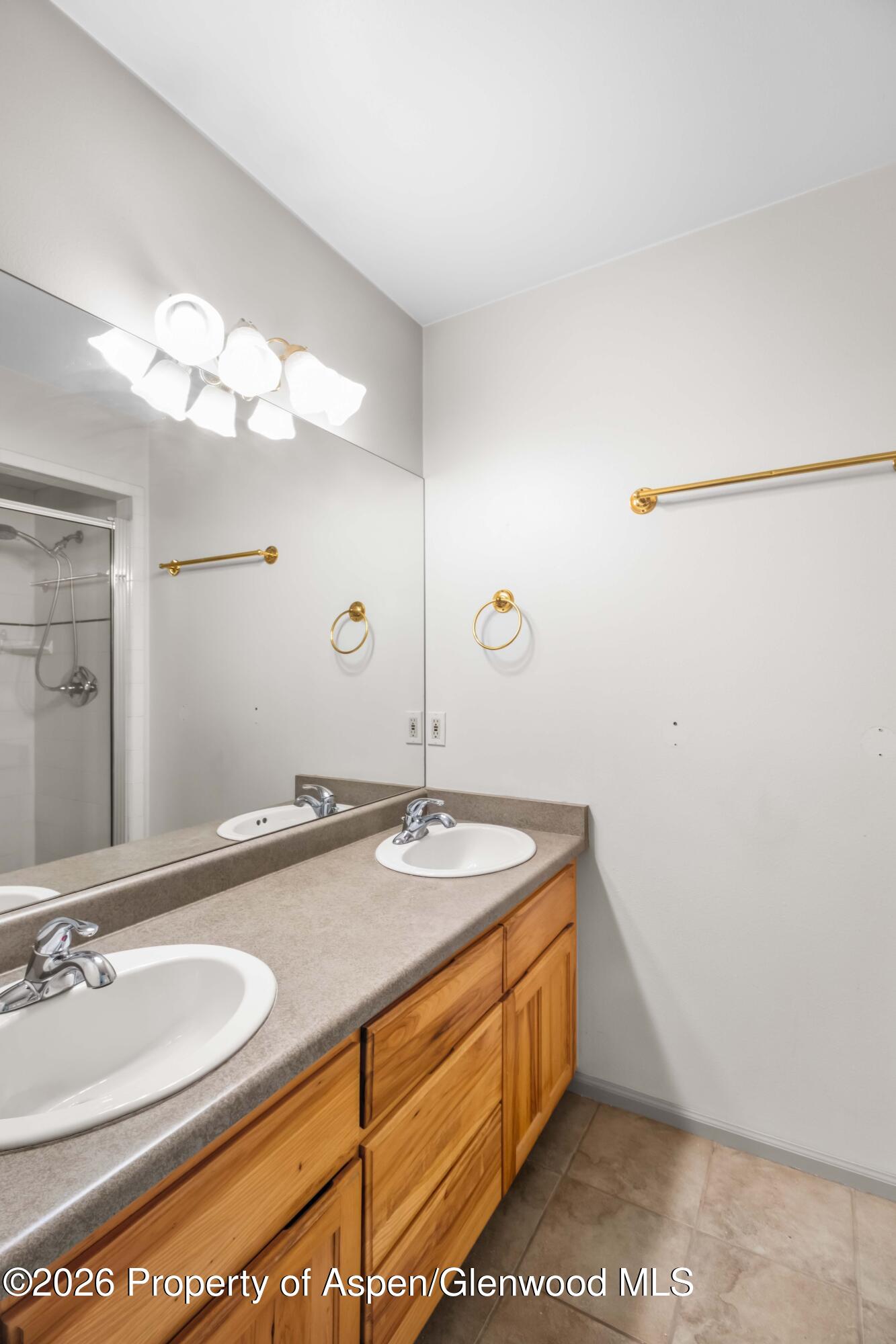 1007 Crown Drive Carbondale CO 81623