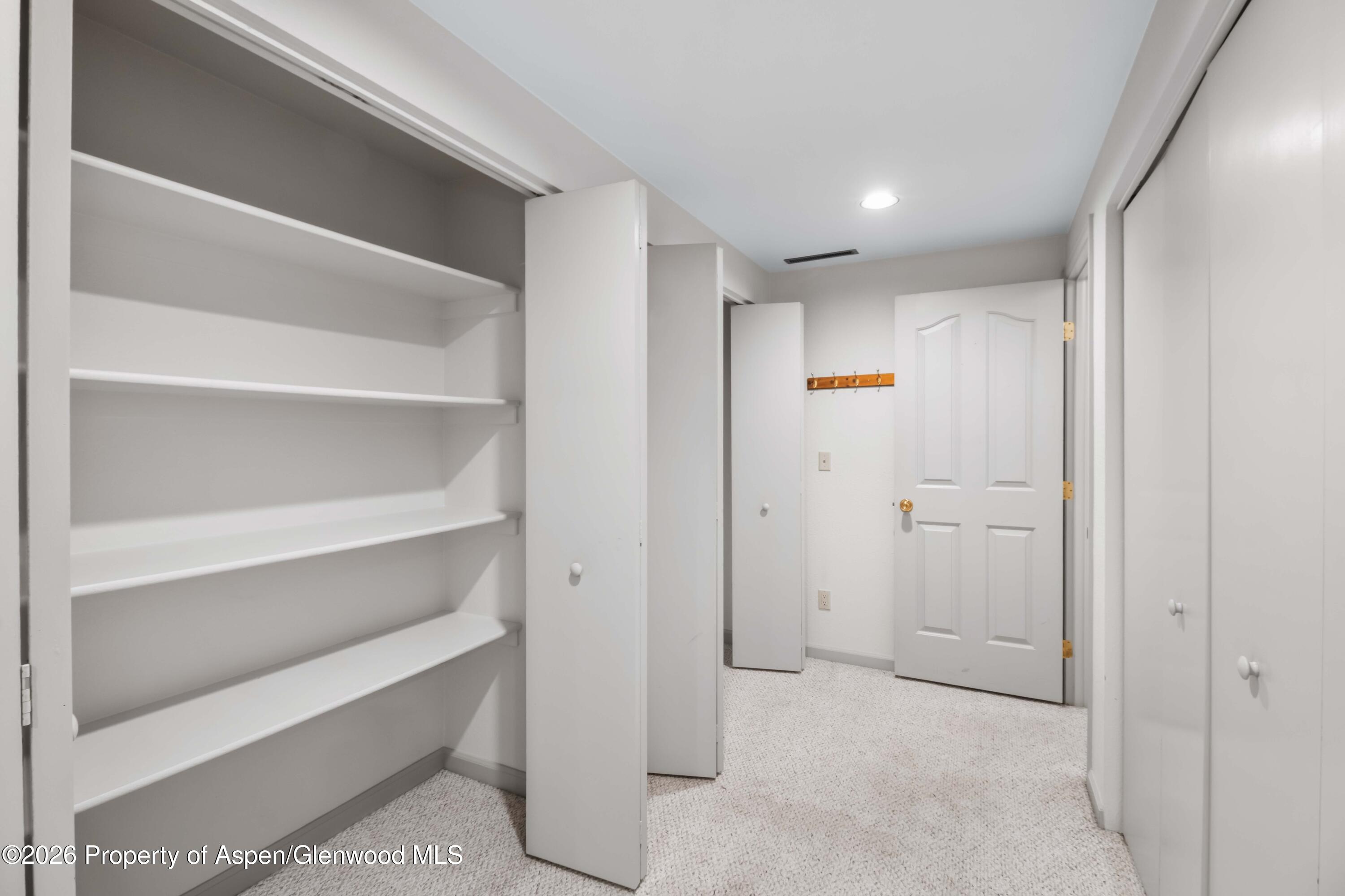 1007 Crown Drive Carbondale CO 81623