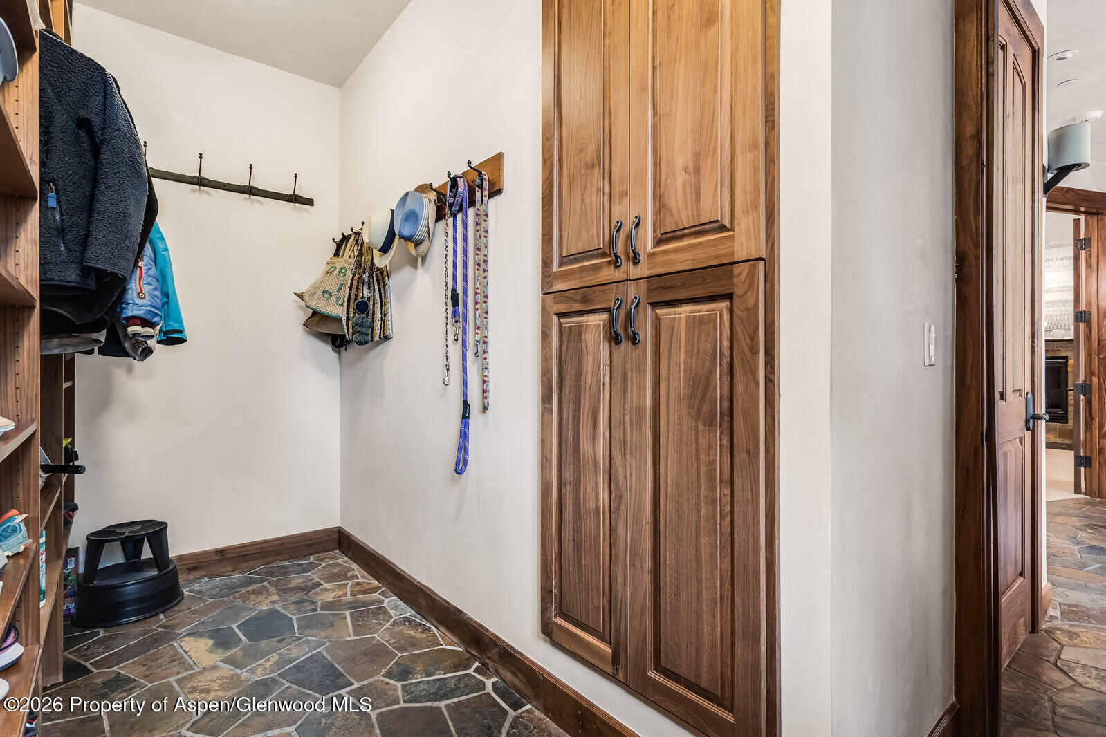 1354 Sierra Vista Drive Aspen CO 81611