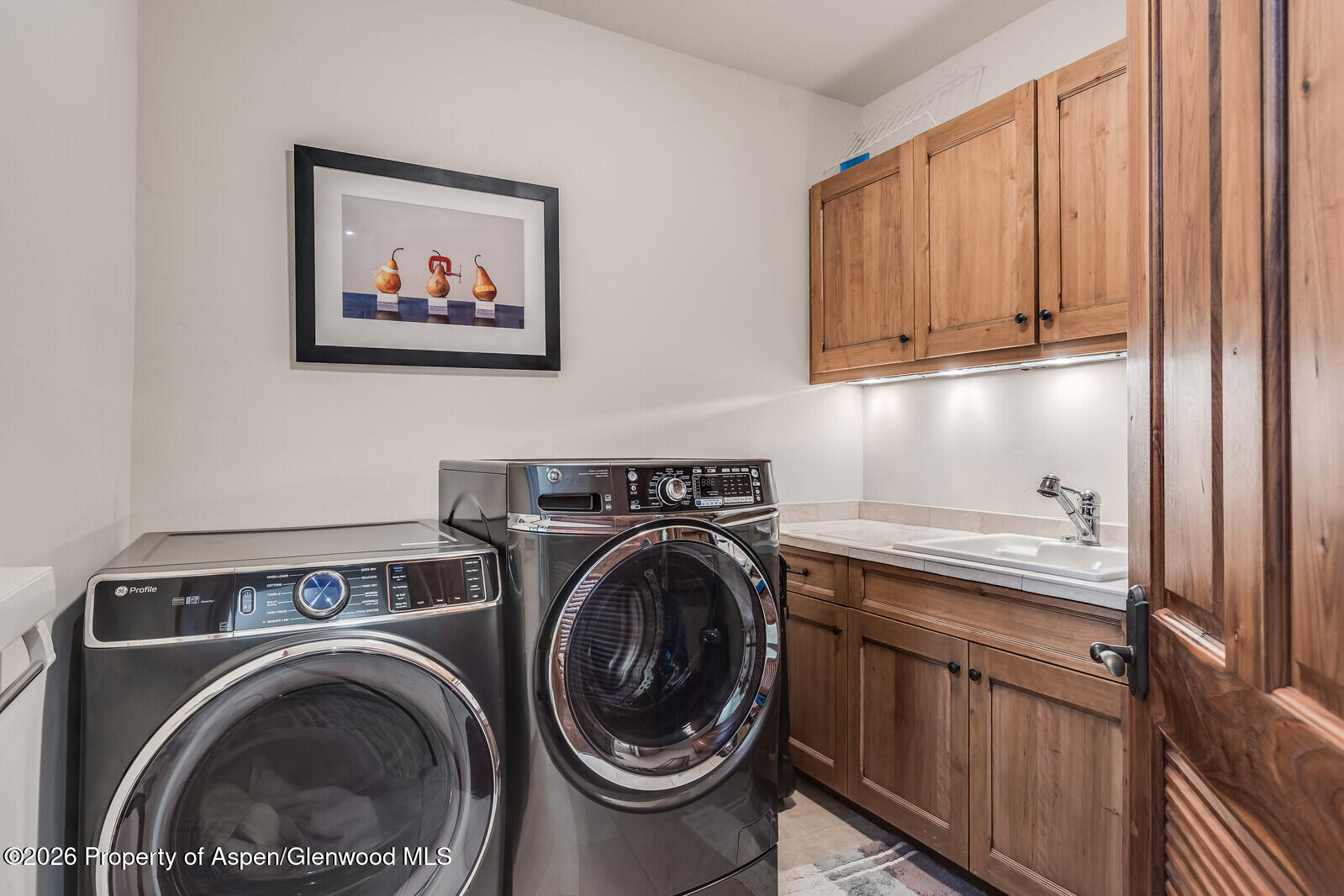 1354 Sierra Vista Drive Aspen CO 81611
