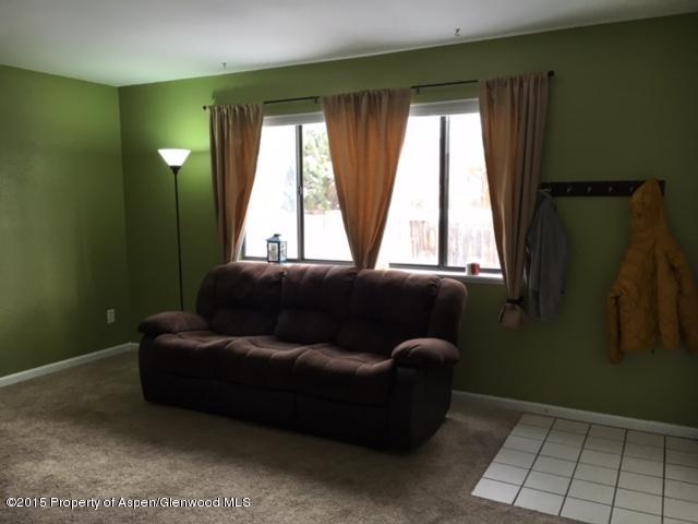 1022 Wheel Circle Carbondale CO 81623