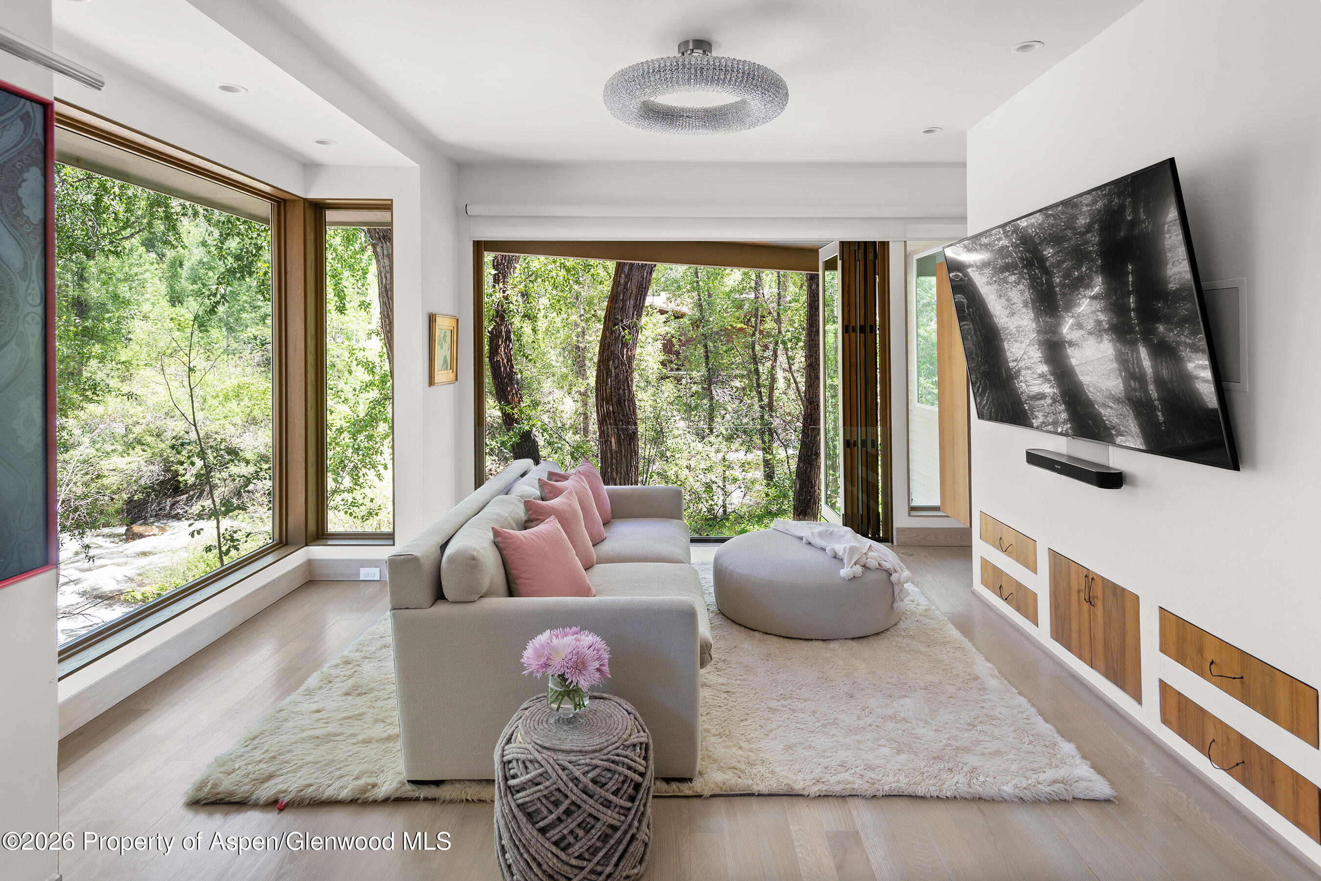 1022 E Hyman Avenue Aspen CO 81611