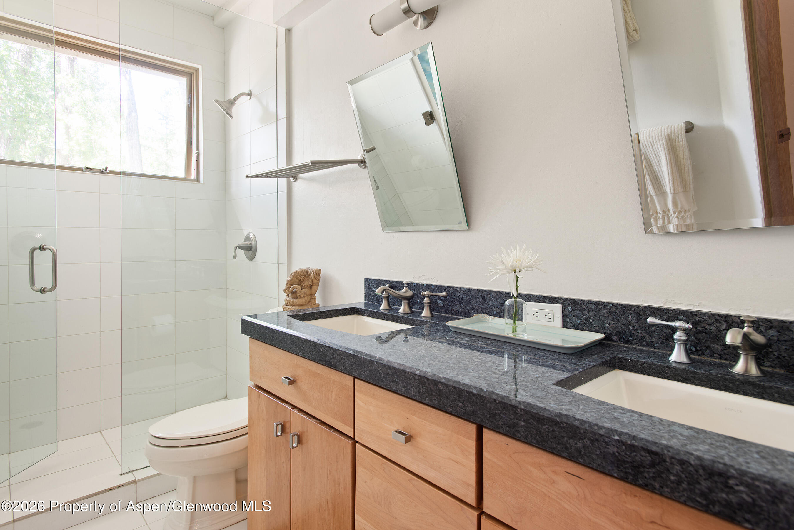 1022 E Hyman Avenue Aspen CO 81611