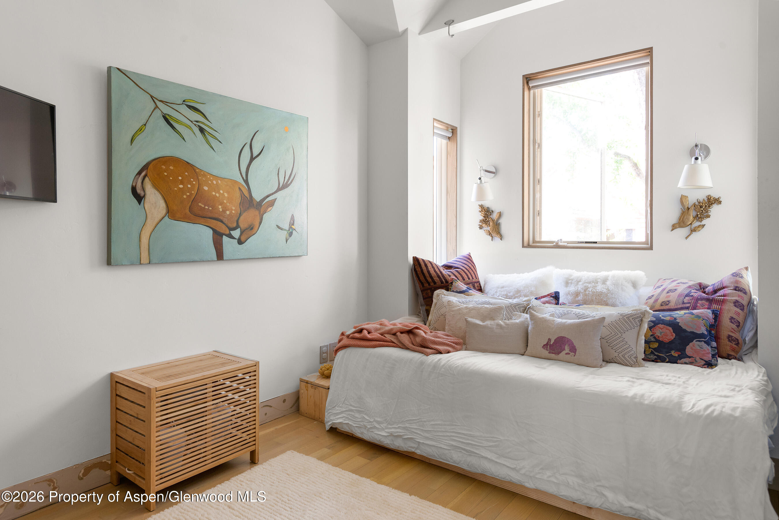 1022 E Hyman Avenue Aspen CO 81611