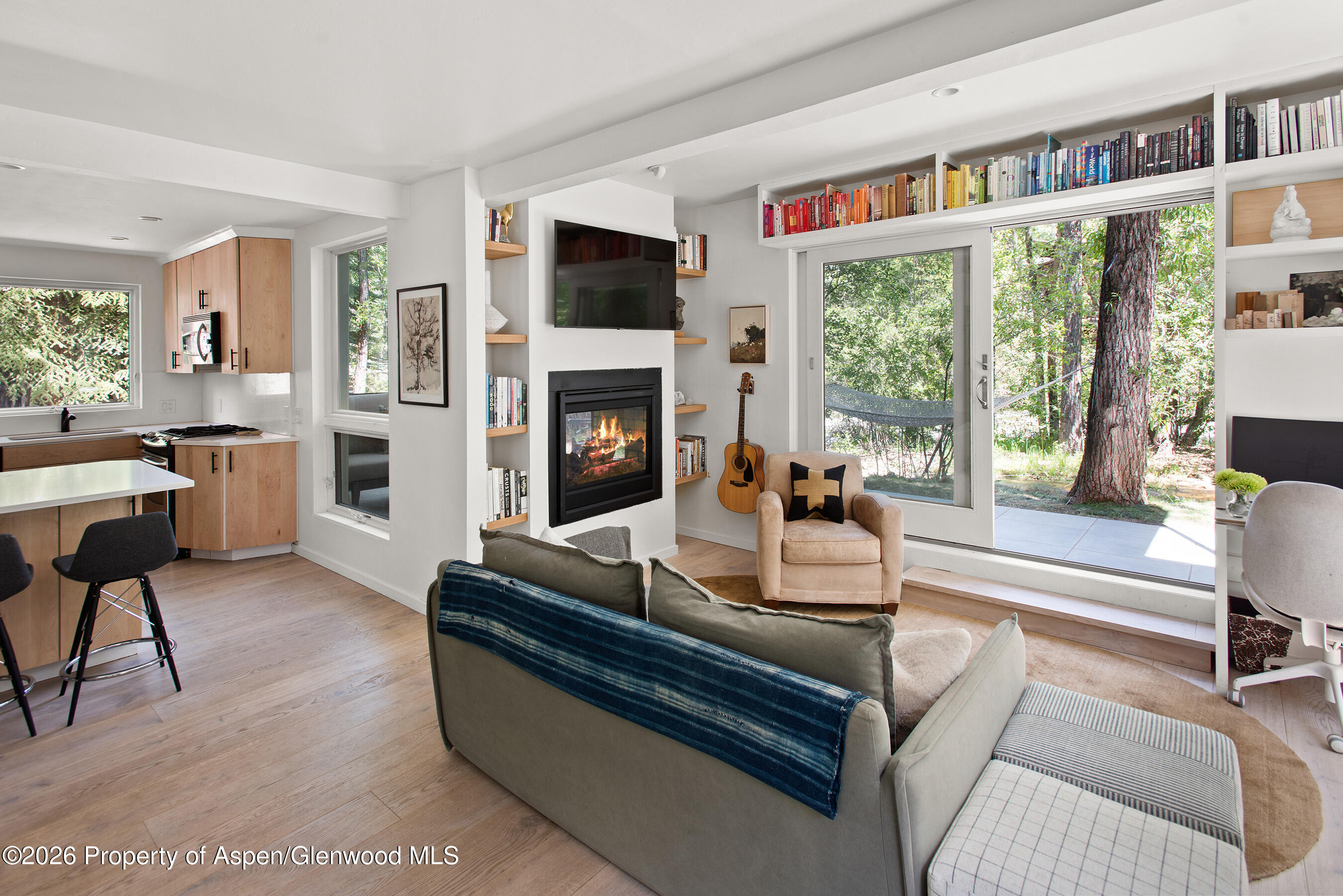 1022 E Hyman Avenue Aspen CO 81611