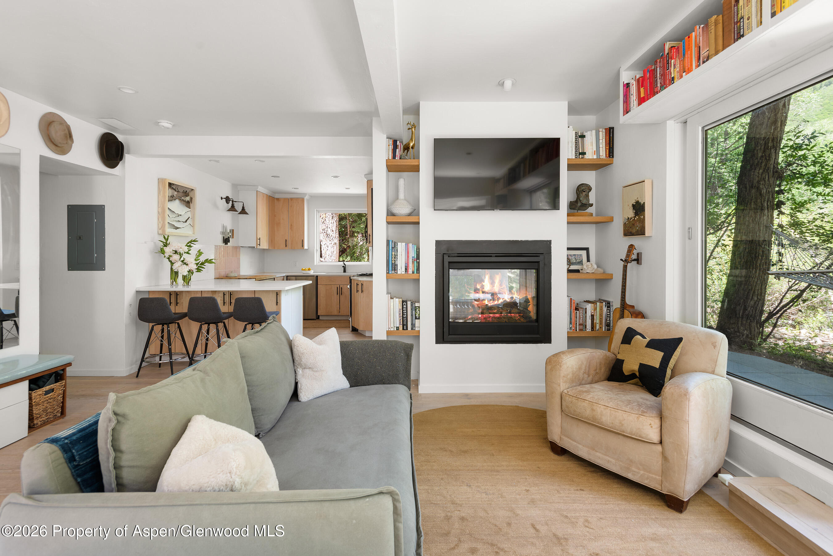 1022 E Hyman Avenue Aspen CO 81611