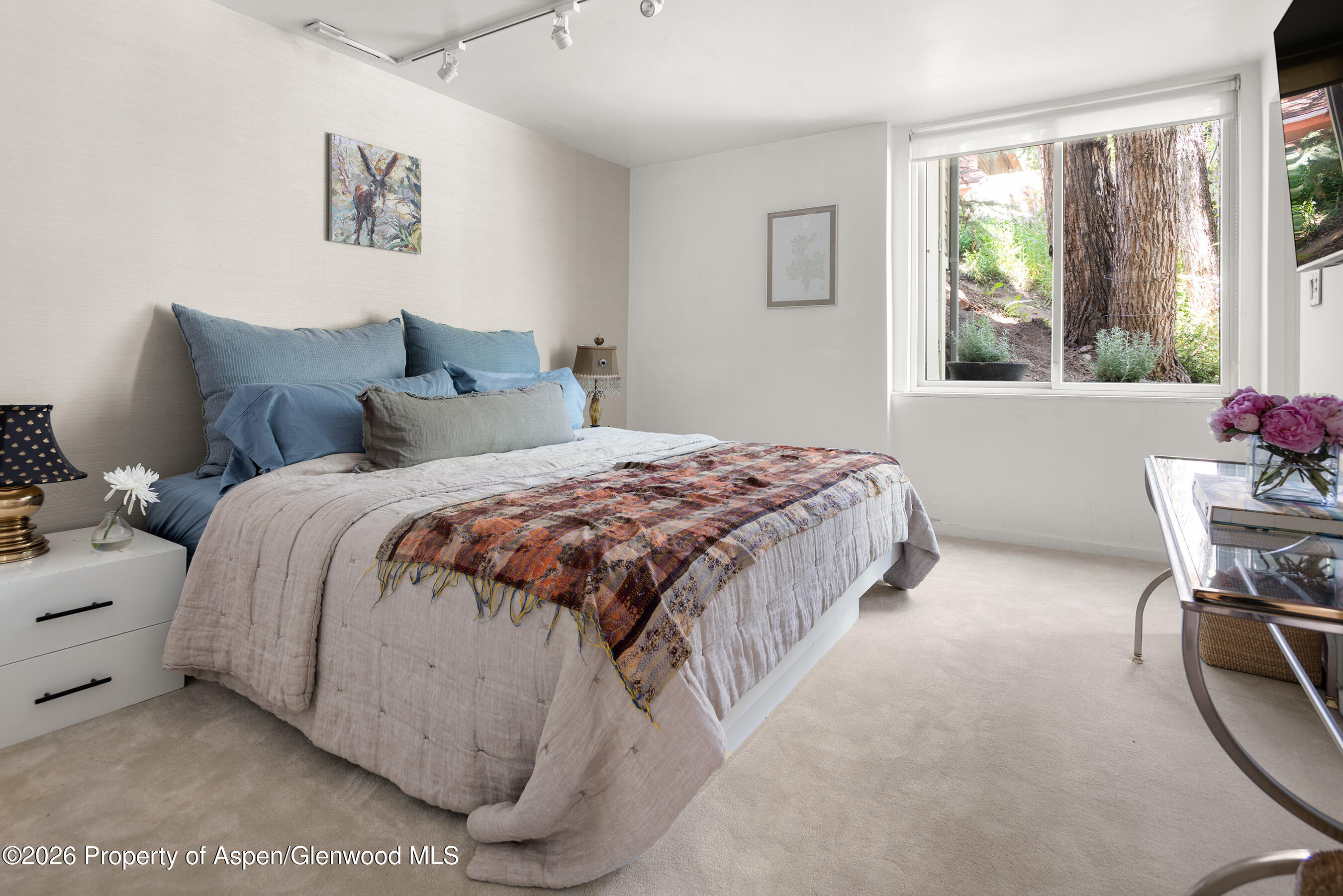 1022 E Hyman Avenue Aspen CO 81611