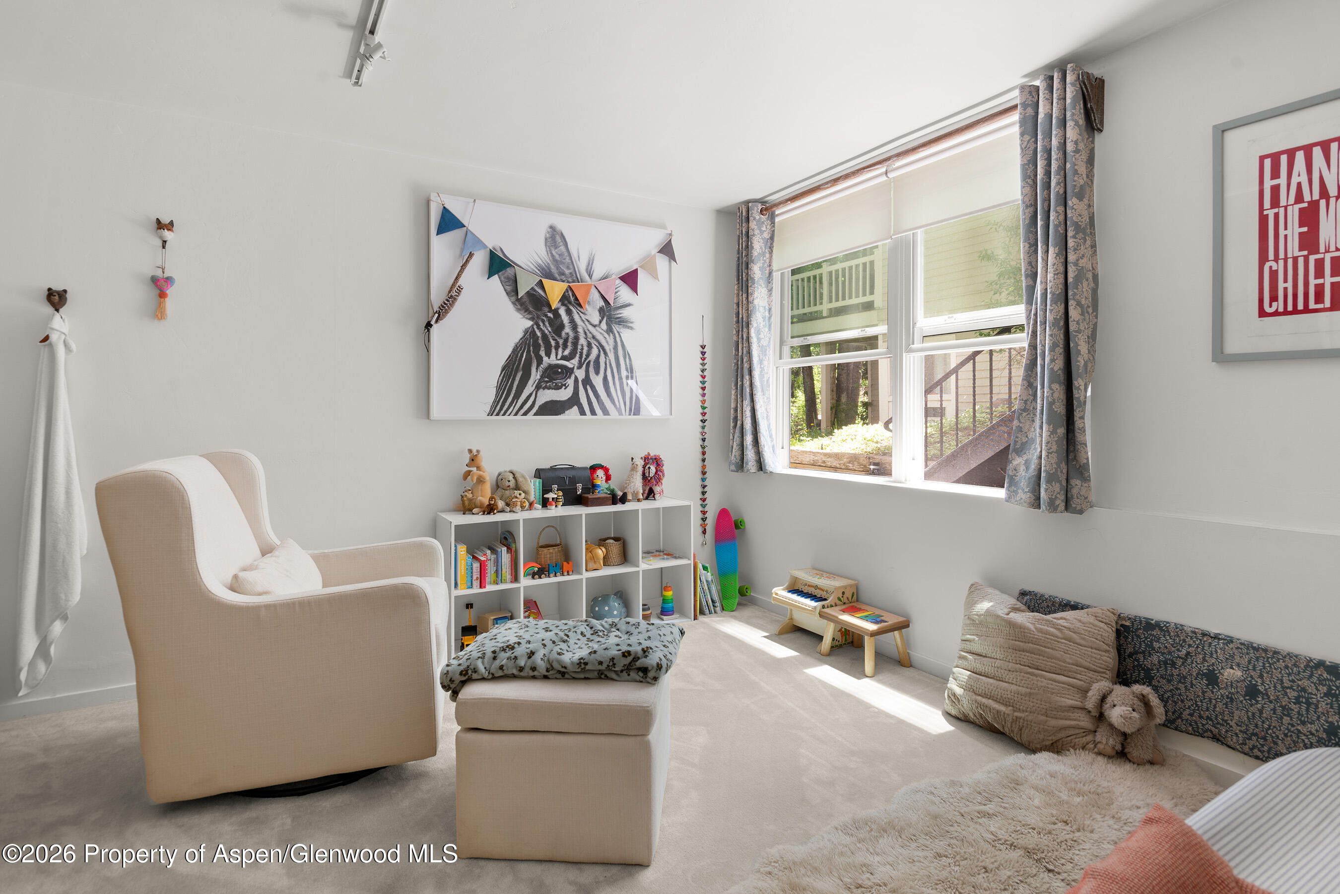 1022 E Hyman Avenue Aspen CO 81611
