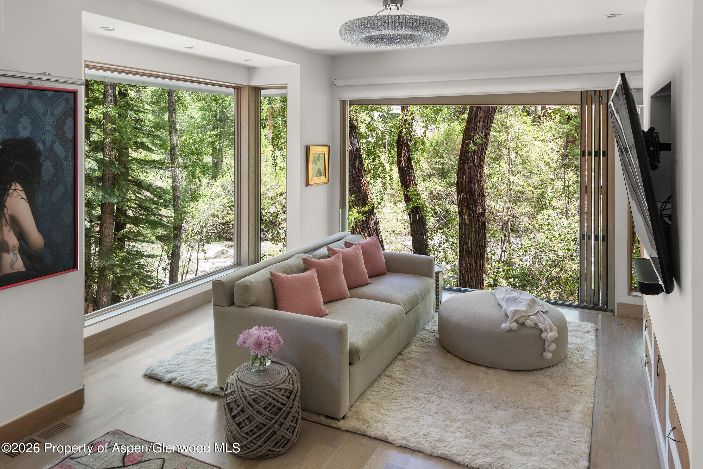 1022 E Hyman Avenue Aspen CO 81611