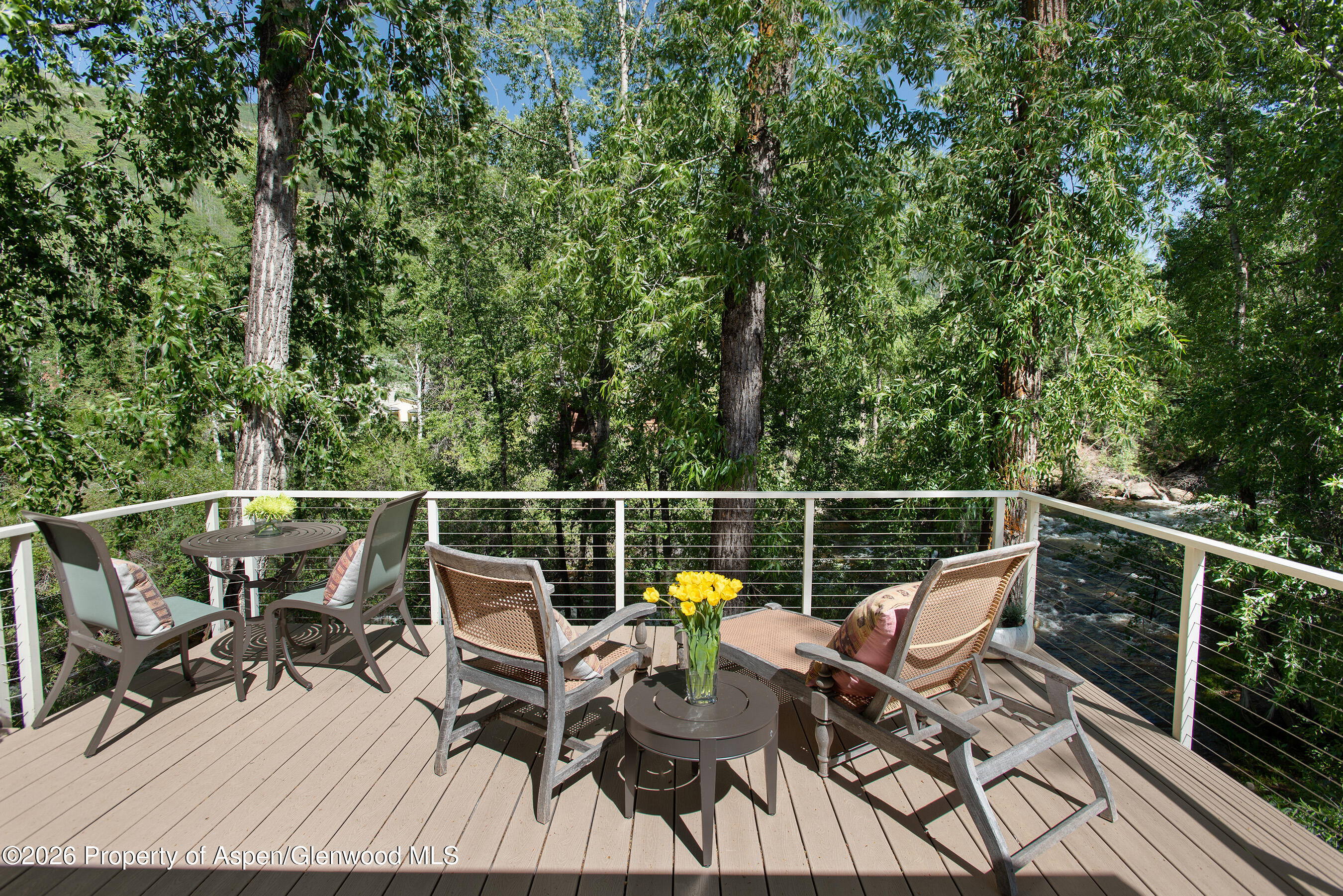 1022 E Hyman Avenue Aspen CO 81611