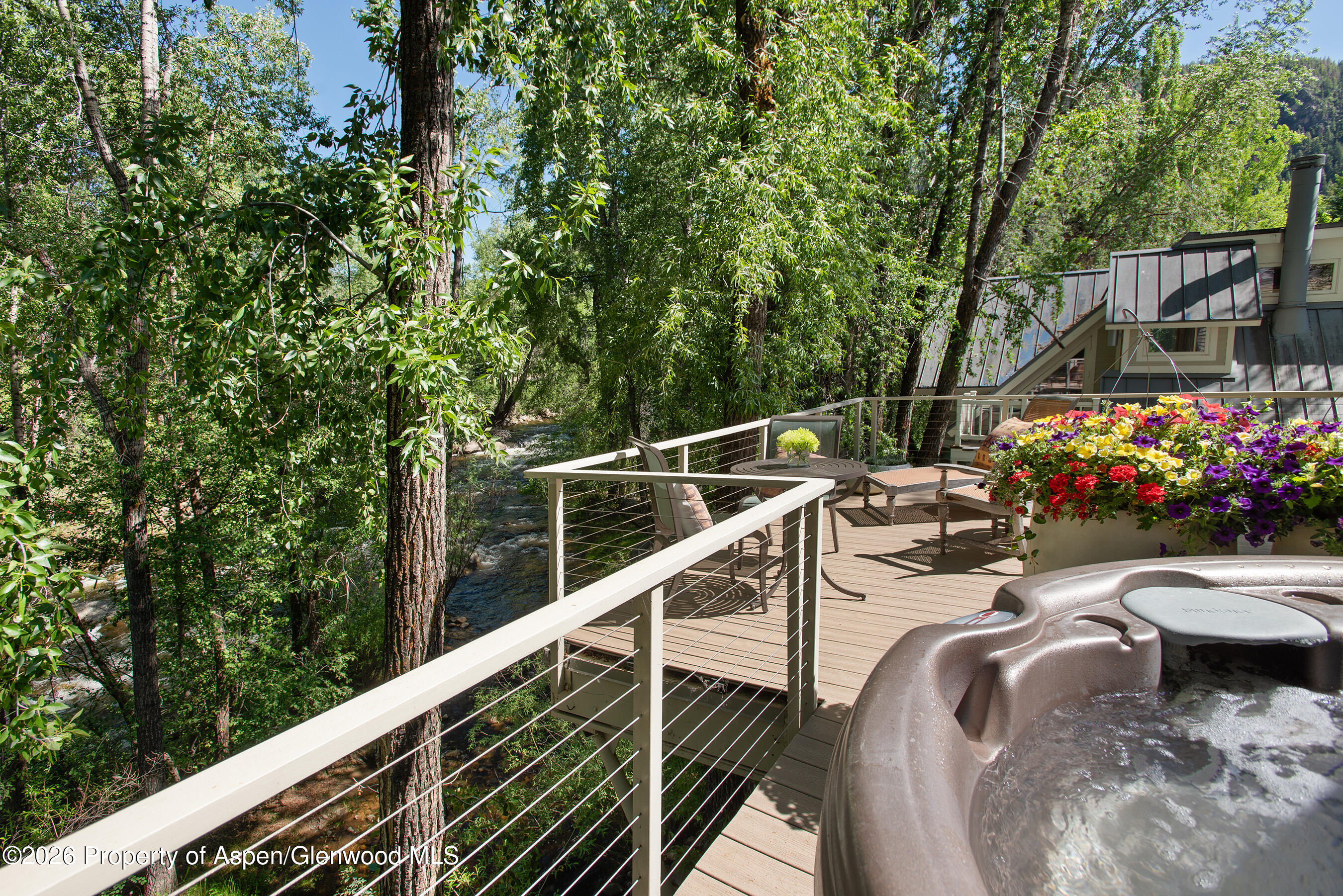 1022 E Hyman Avenue Aspen CO 81611