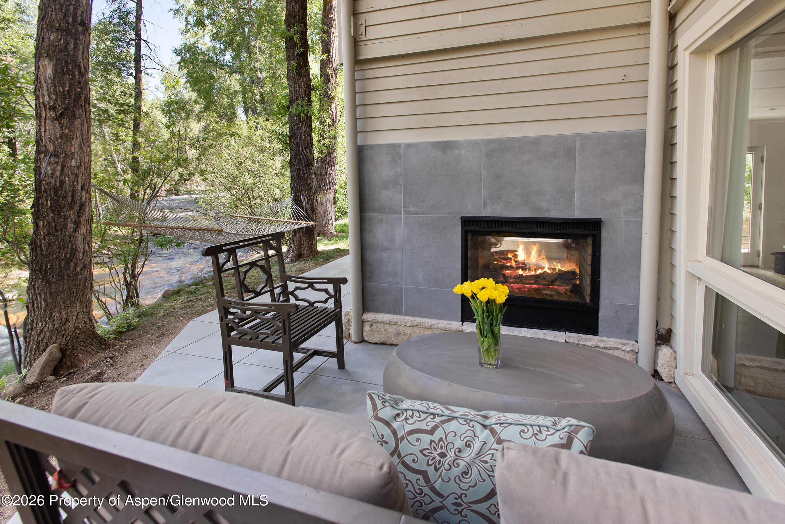 1022 E Hyman Avenue Aspen CO 81611