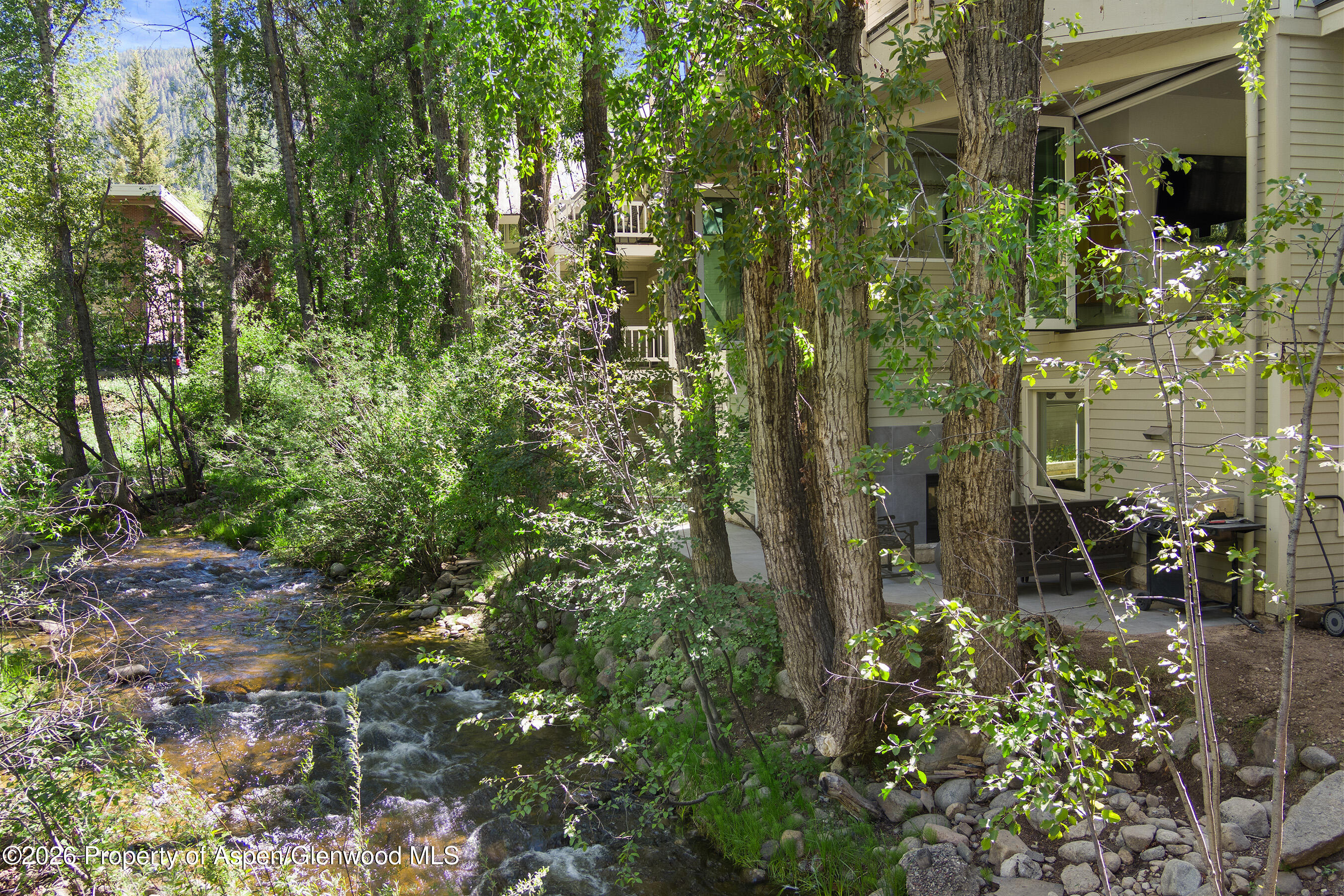 1022 E Hyman Avenue Aspen CO 81611