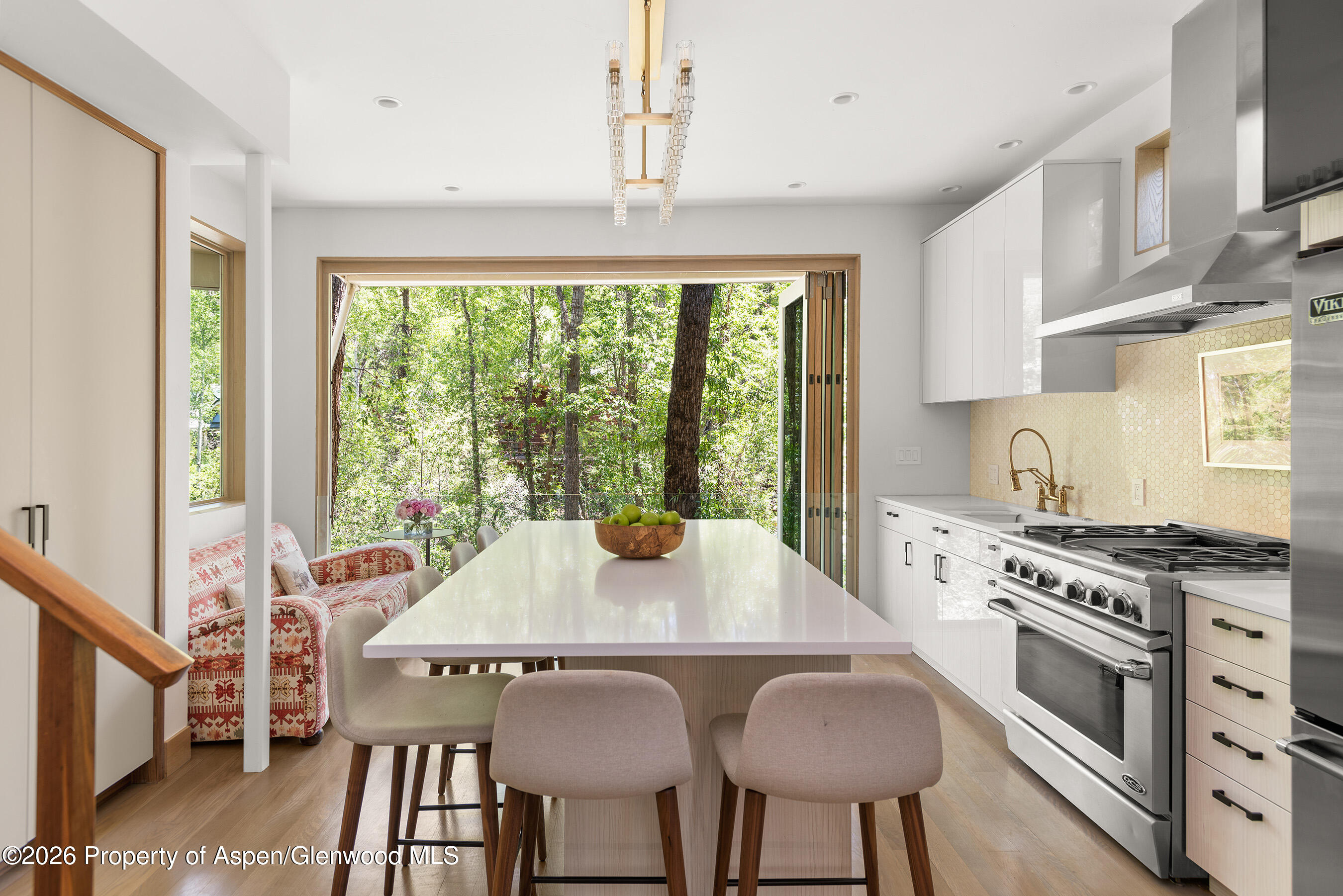 1022 E Hyman Avenue Aspen CO 81611