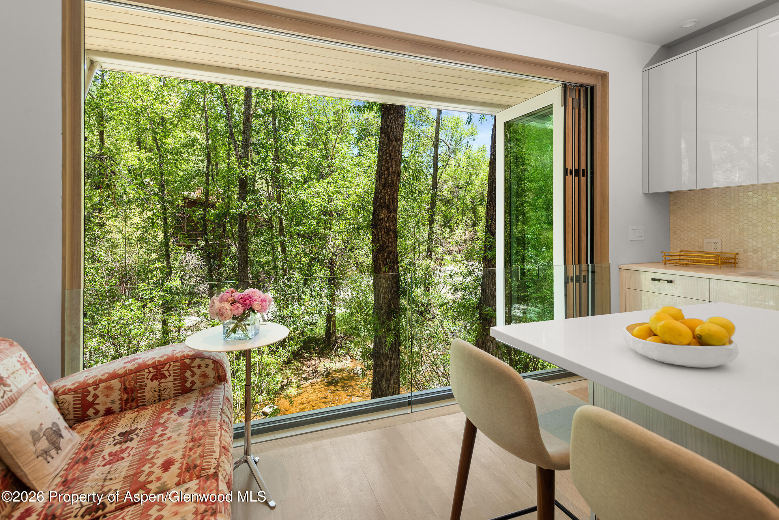 1022 E Hyman Avenue Aspen CO 81611