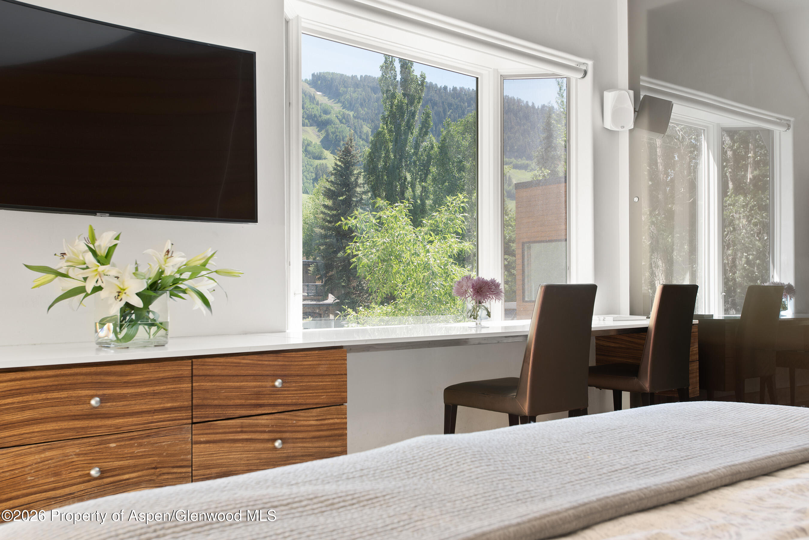 1022 E Hyman Avenue Aspen CO 81611