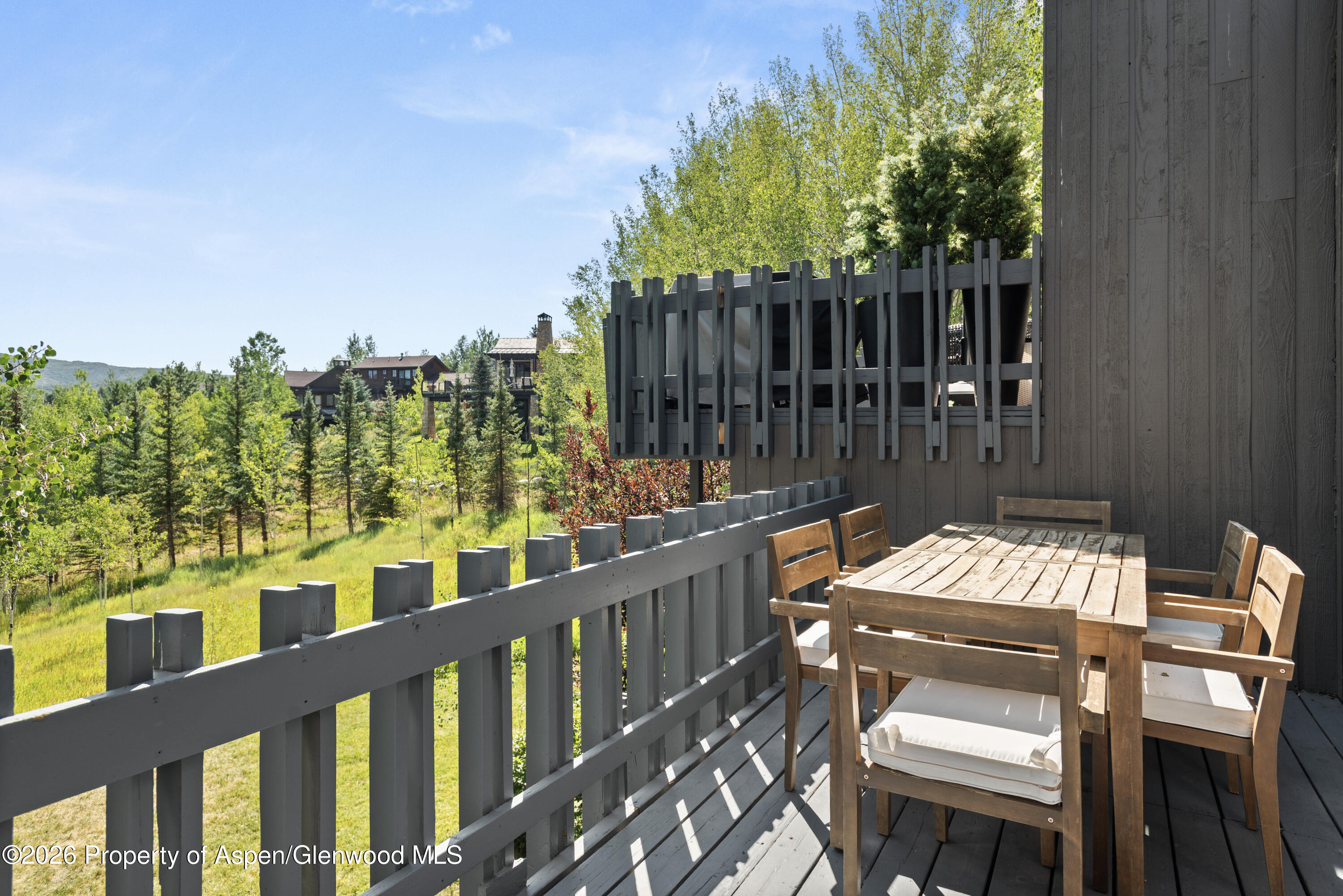 131 Meadow Ranch Road Aspen CO 81611