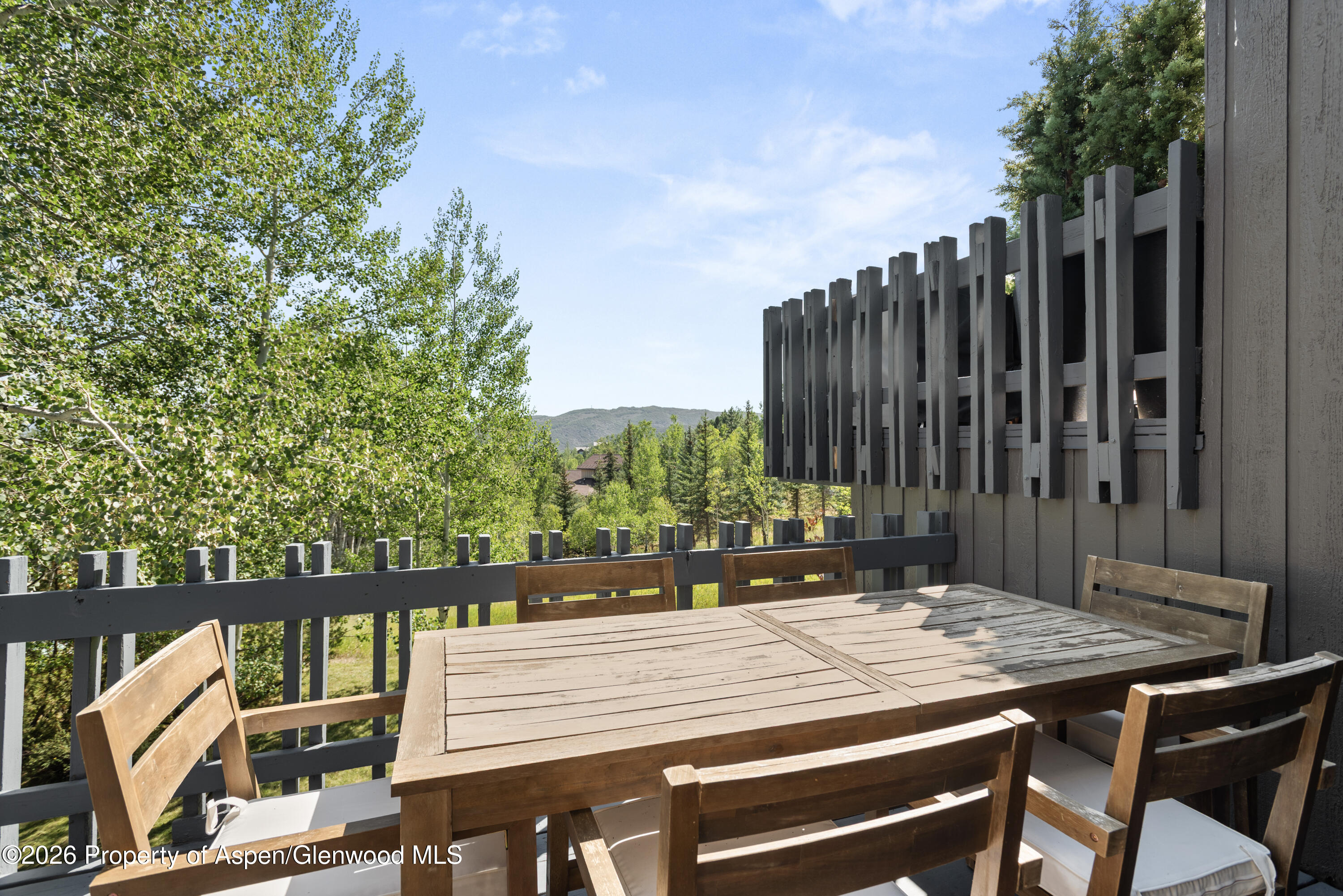 131 Meadow Ranch Road Aspen CO 81611