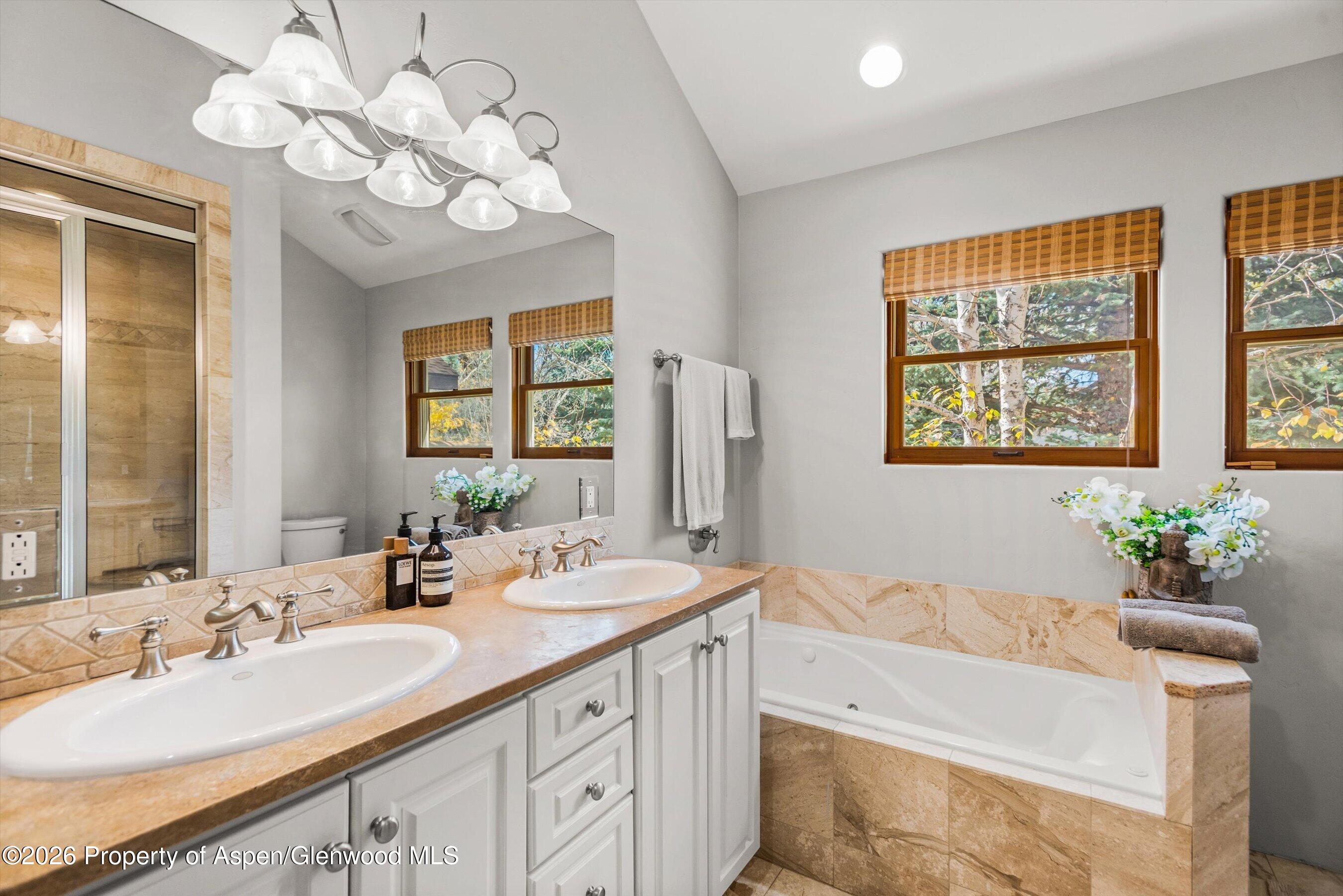 315 Summerset Way Basalt CO 81621