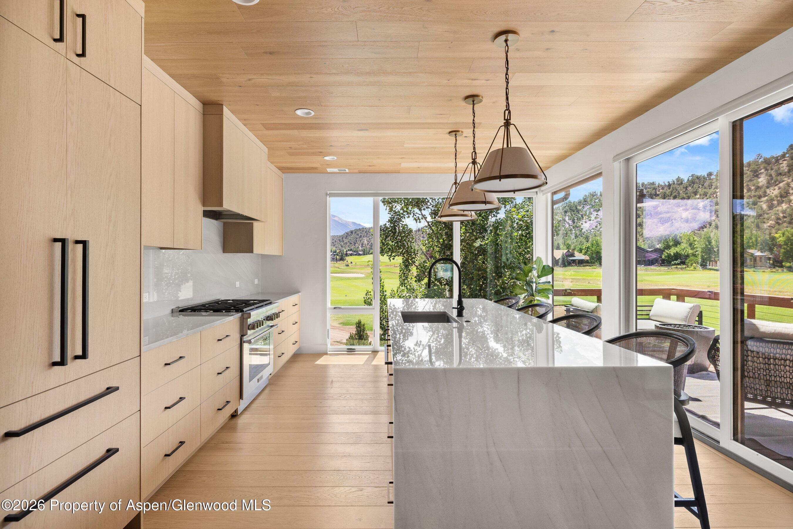 3480 Crystal Bridge Drive Carbondale CO 81623