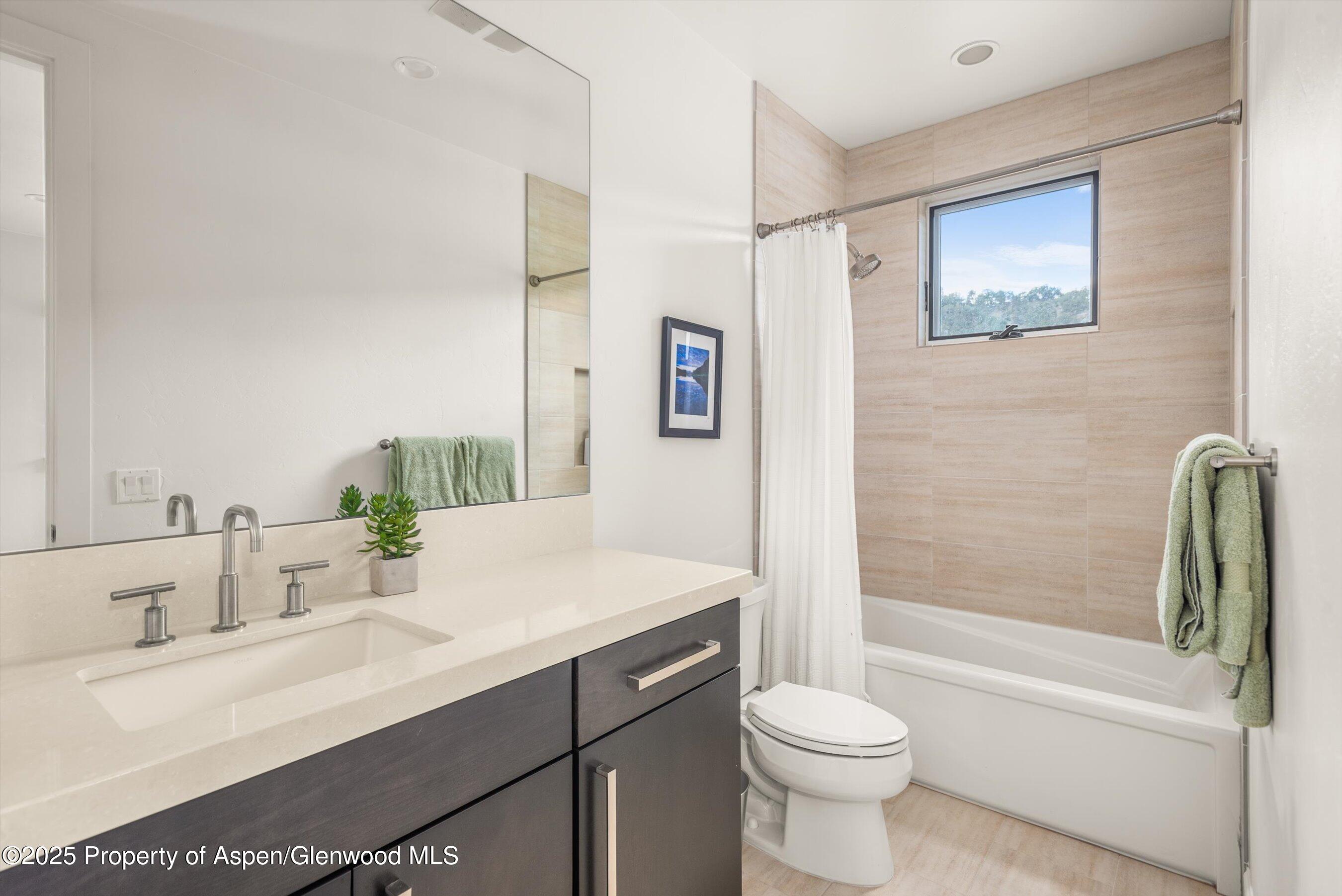 3480 Crystal Bridge Drive Carbondale CO 81623