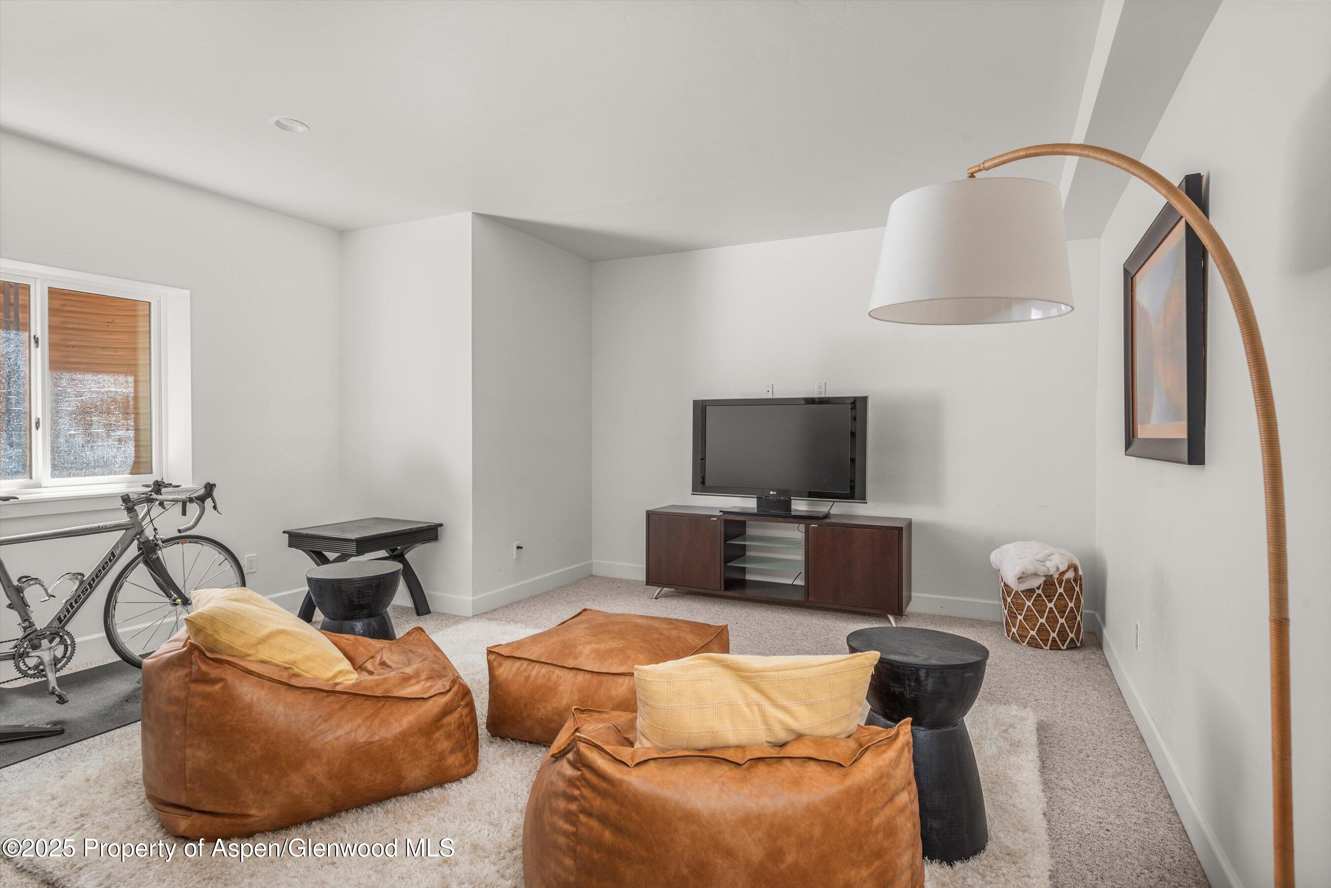 3480 Crystal Bridge Drive Carbondale CO 81623