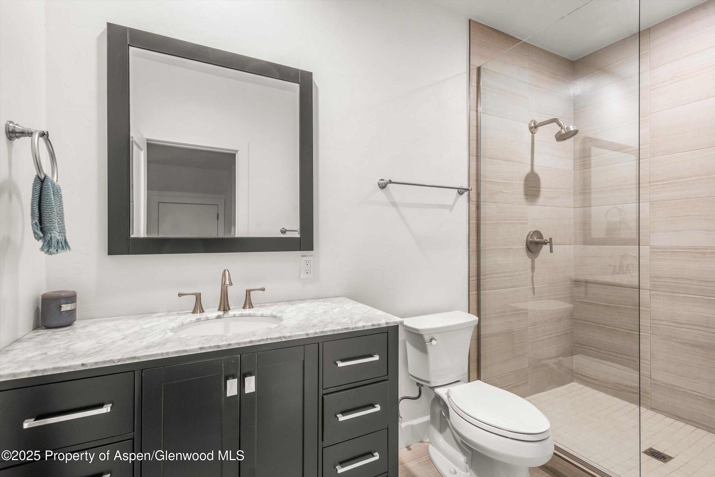 3480 Crystal Bridge Drive Carbondale CO 81623