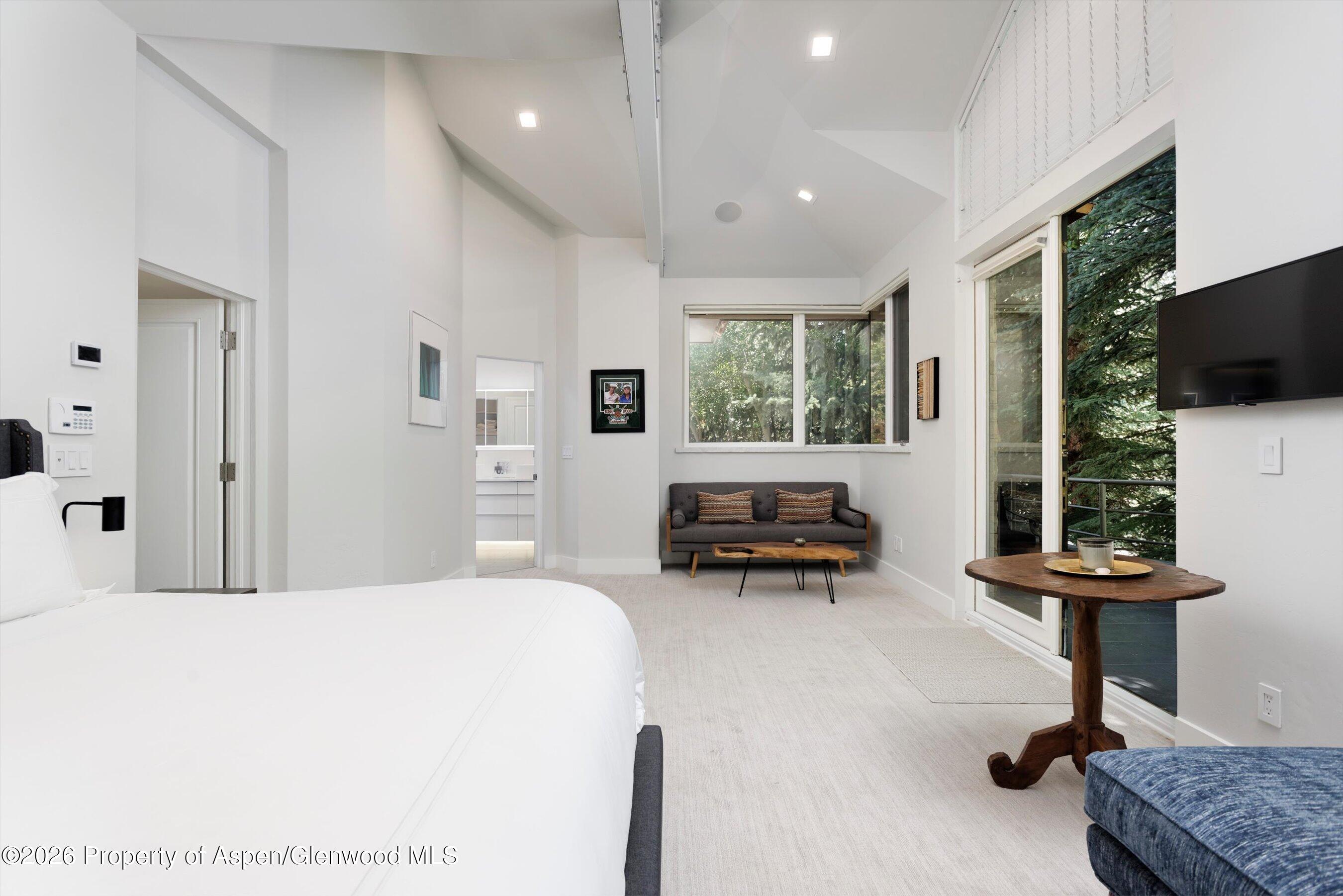 736 W Smuggler Street Aspen CO 81611
