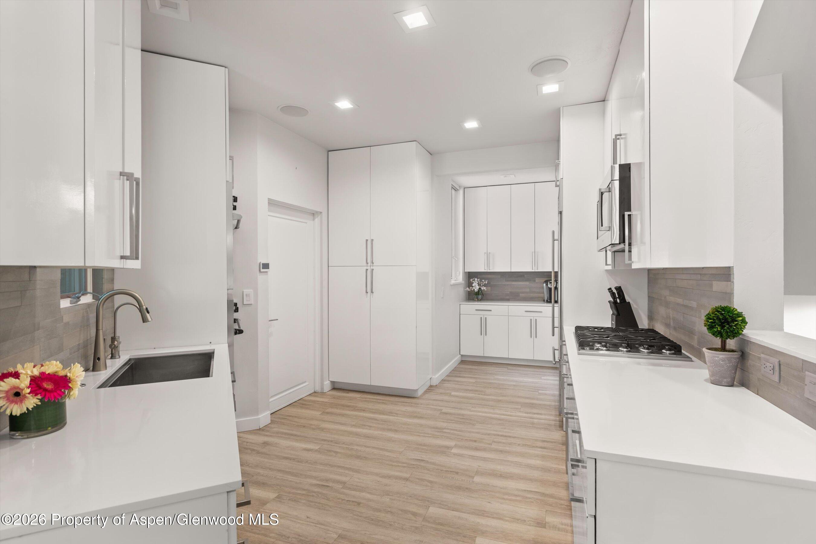 736 W Smuggler Street Aspen CO 81611