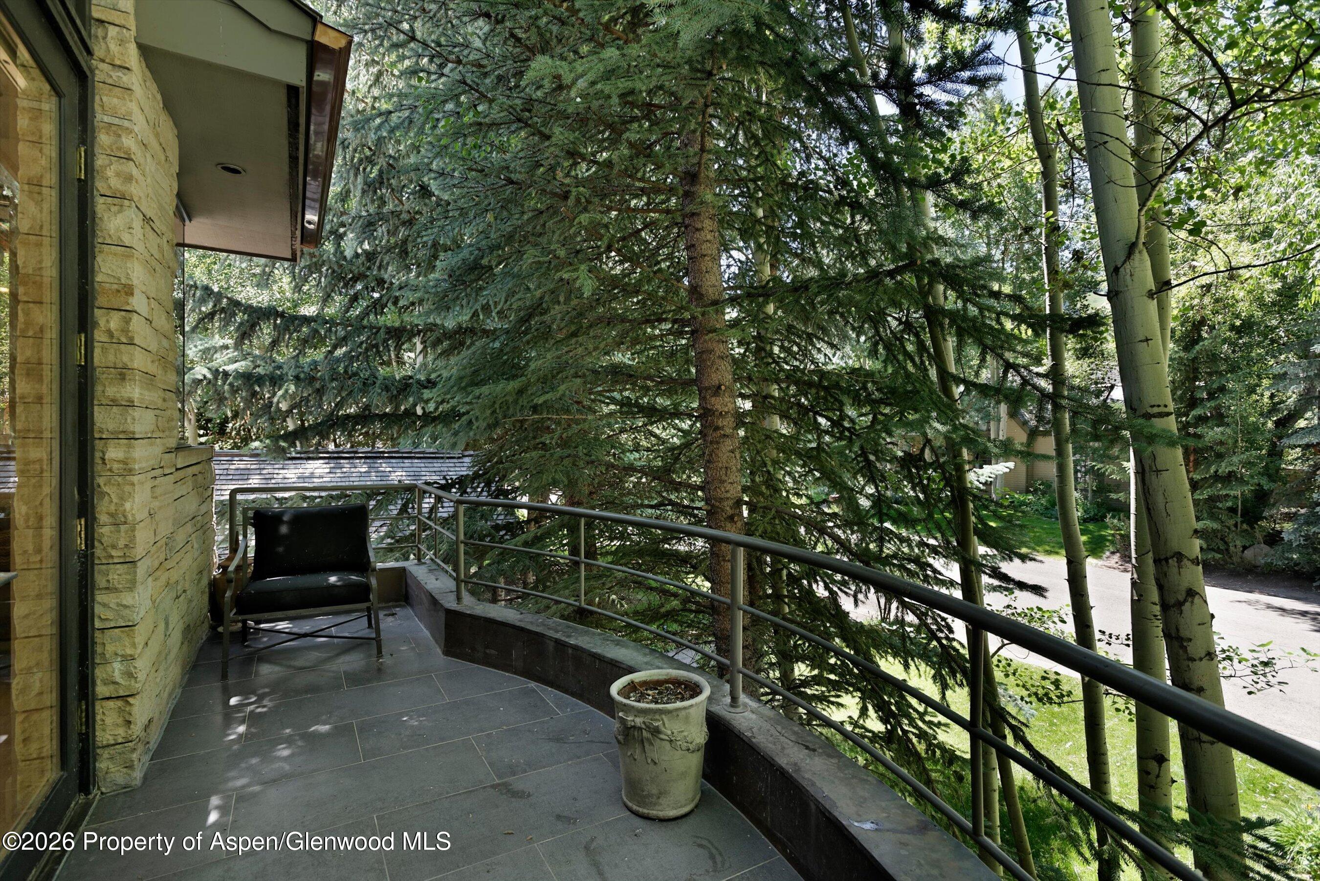 736 W Smuggler Street Aspen CO 81611